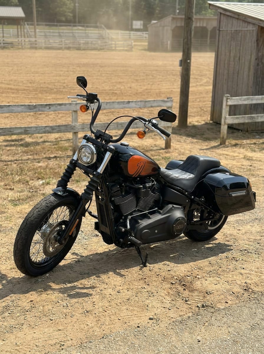 Customer photo review of 40L - Lamellar Raven Extra Large Painted Motorcycle Hard Saddlebags for Harley Softail Street Bob FXBB/S