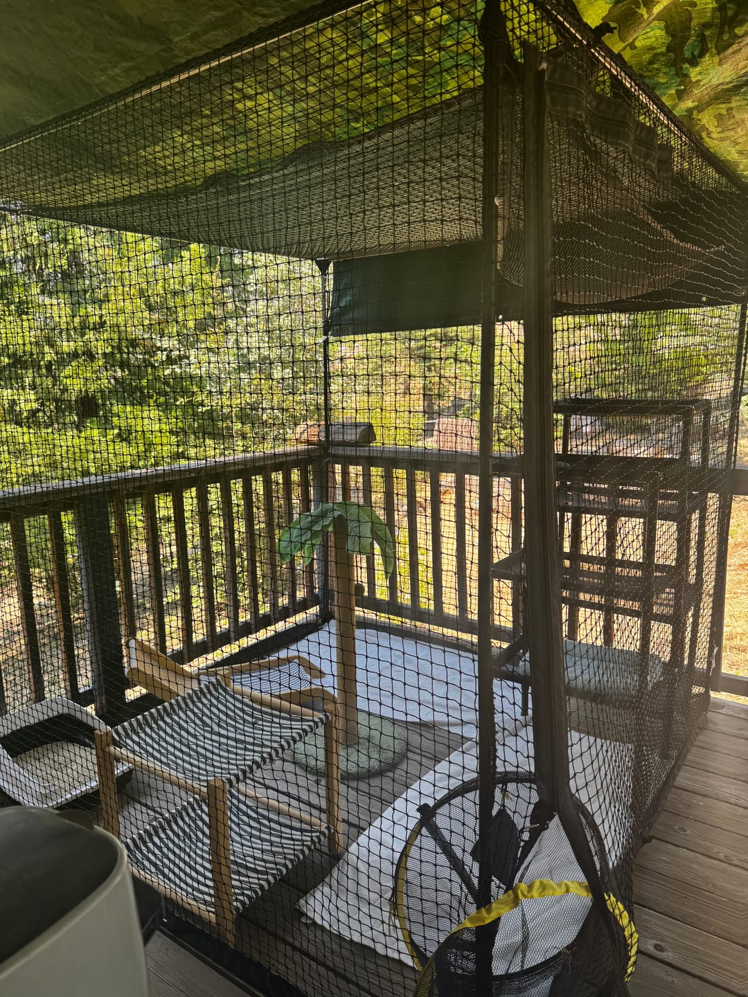 Customer photo review of Cat Enclosure | Large