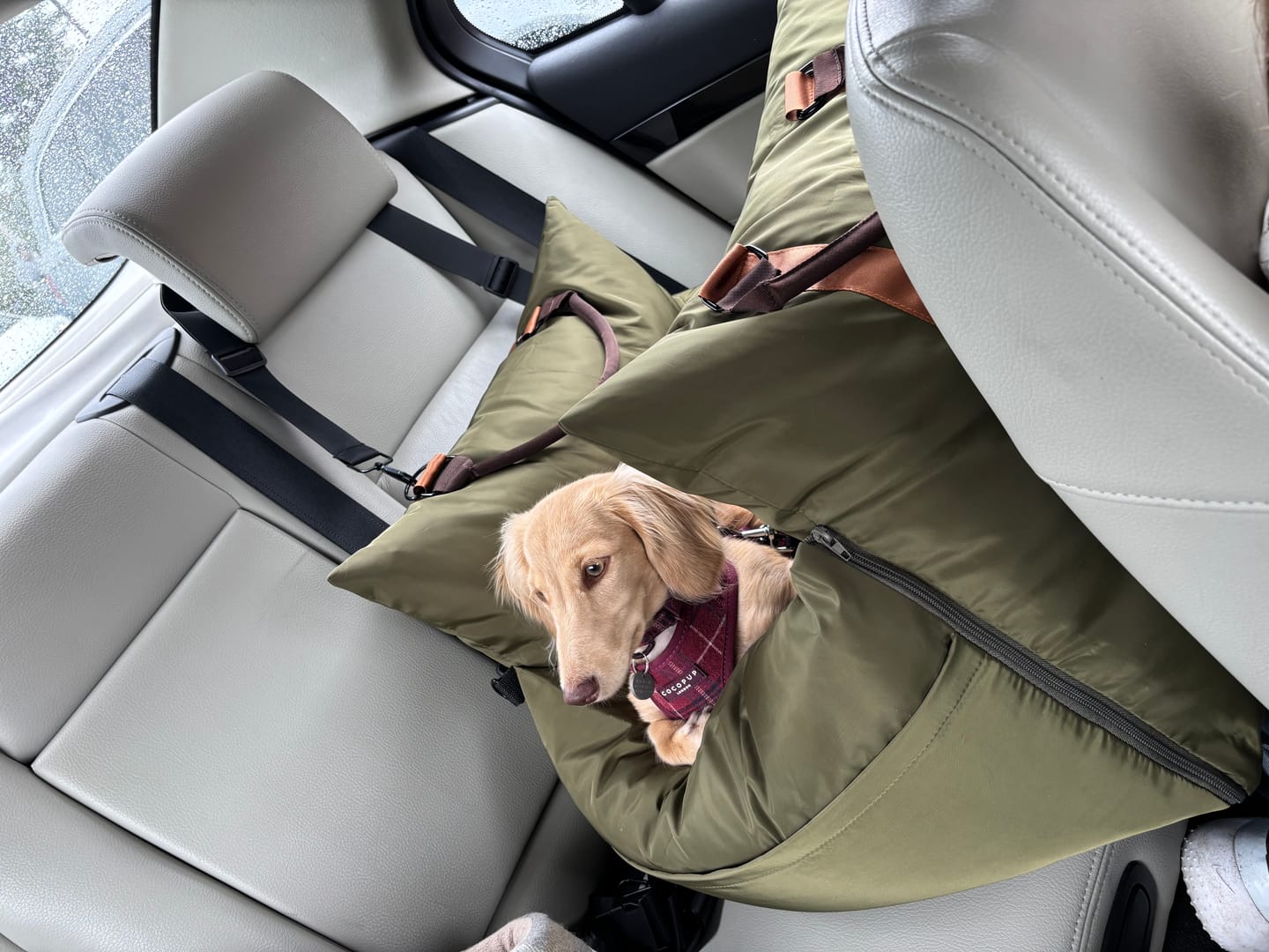 Customer photo review of Travel Dog Pod - Now With IsoFix