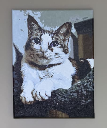 Customer photo review of Custom Paint By Numbers - Personalized Pet Portraits