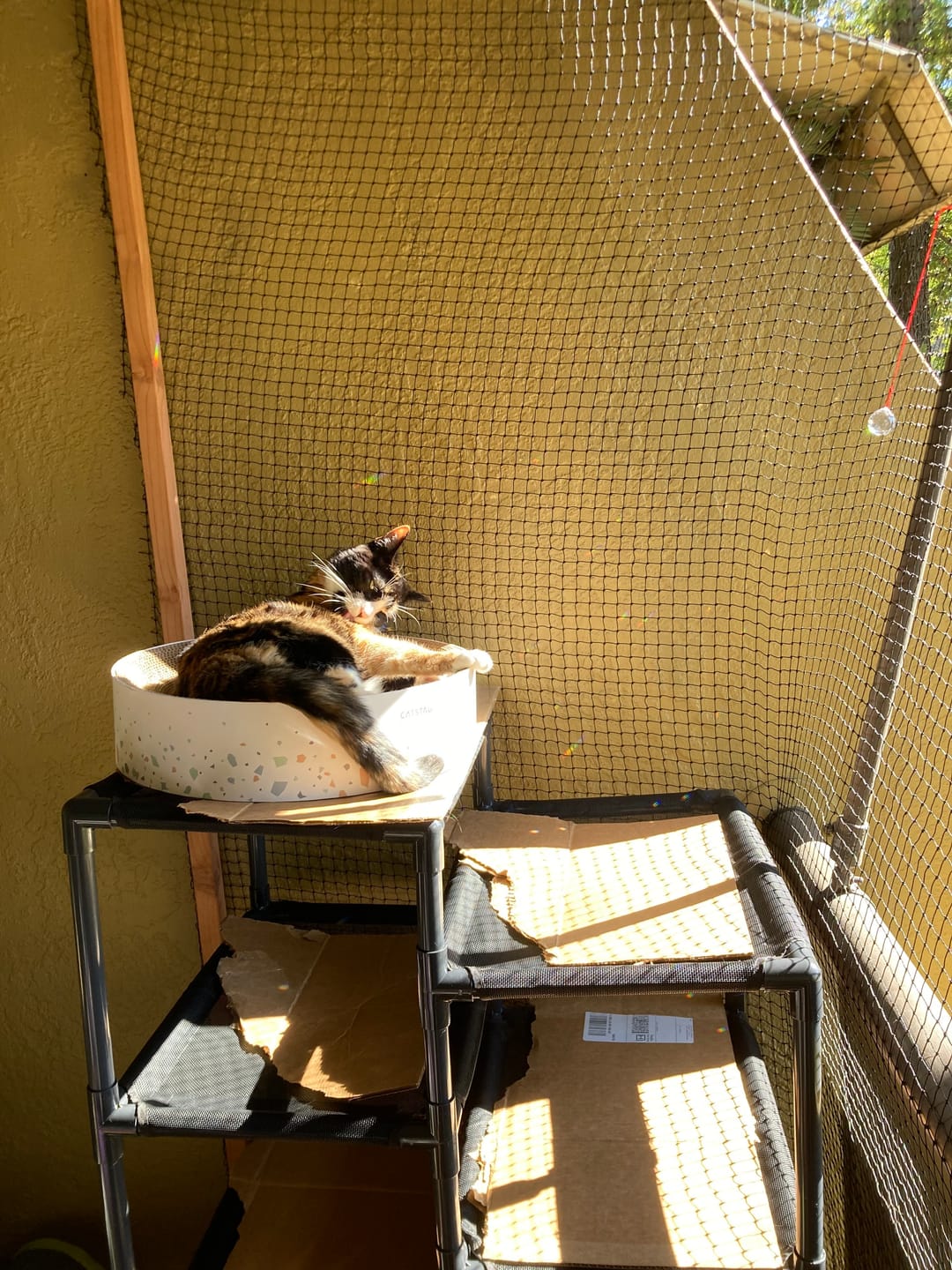 Customer photo review of Durable Cat Tower - Haven