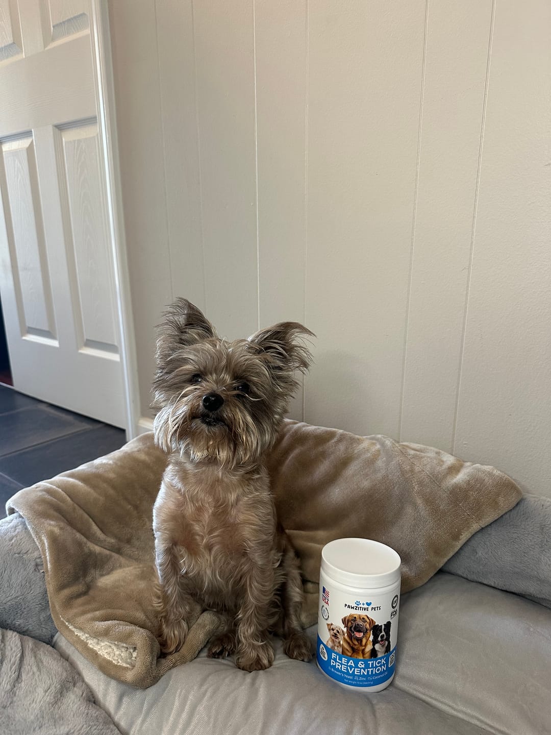 Customer photo review of Flea and Tick Prevention for Dogs – 120 Soft Chews