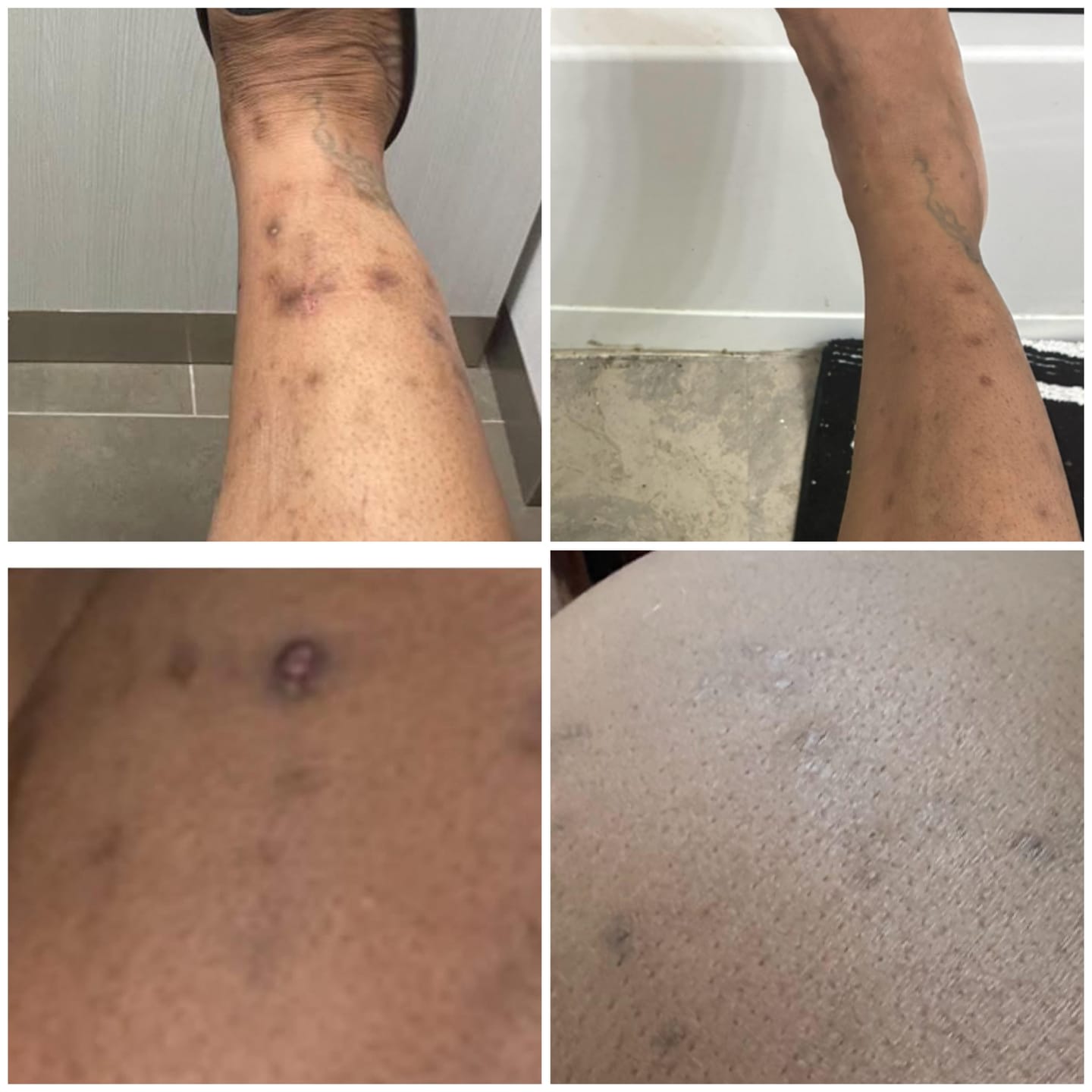 Customer photo review of African Net Sponge