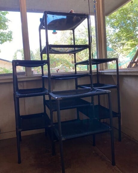 Customer photo review of Durable Cat Tower | Peak