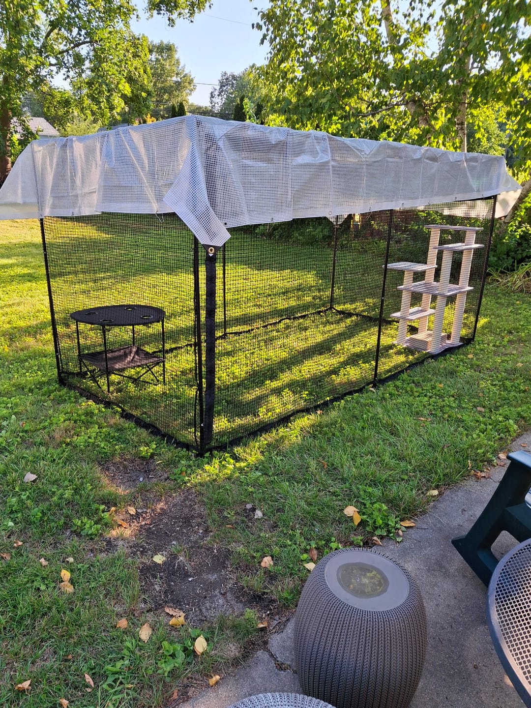 Customer photo review of Cat Enclosure | XL