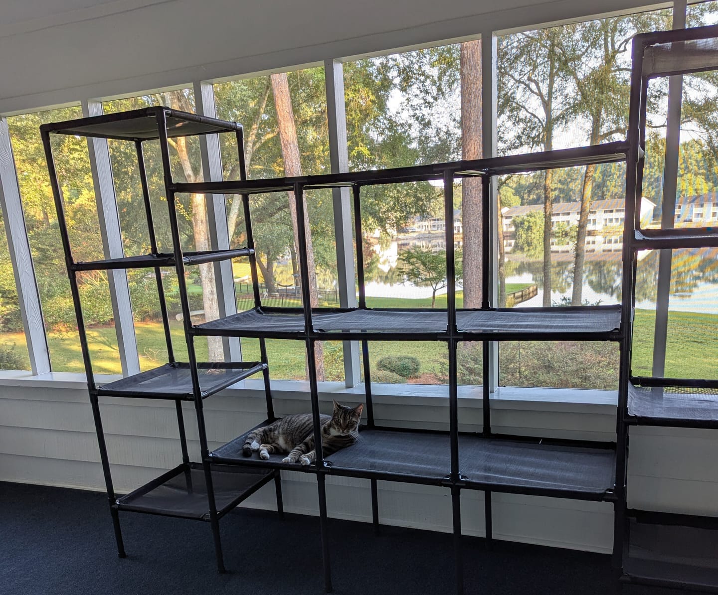 Customer photo review of Durable Cat Tower - Vista