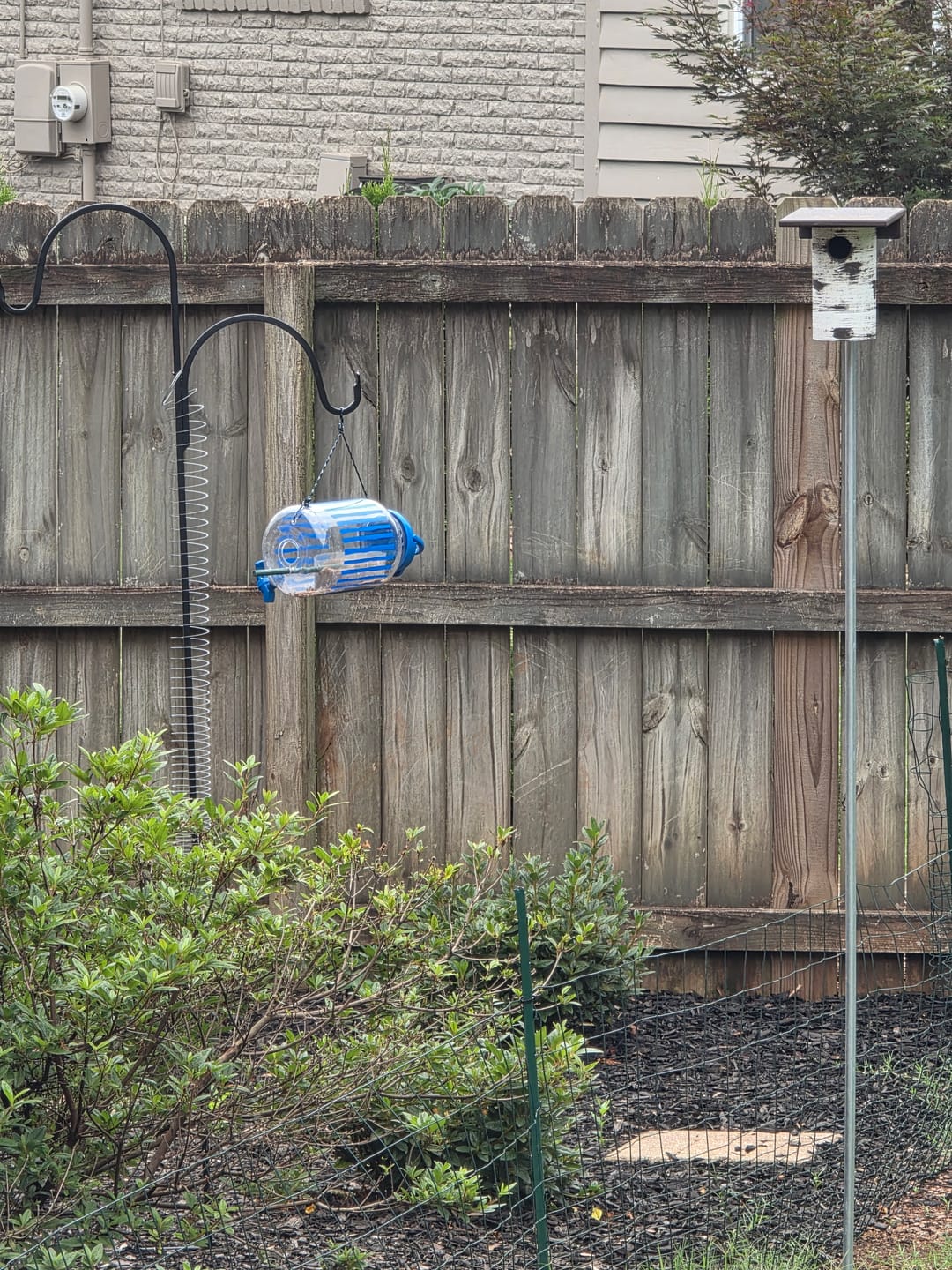 Customer photo review of Gilbertson Nest Box - NABS Approved