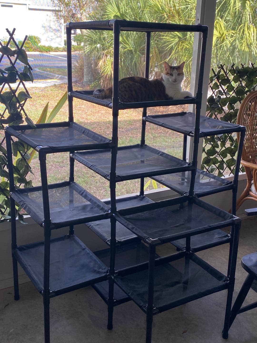 Customer photo review of Durable Cat Tower | Peak