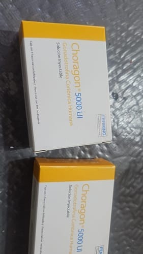 Customer photo review of Choragon | Gonadotropina coriónica humana (HCG) 5,000ui