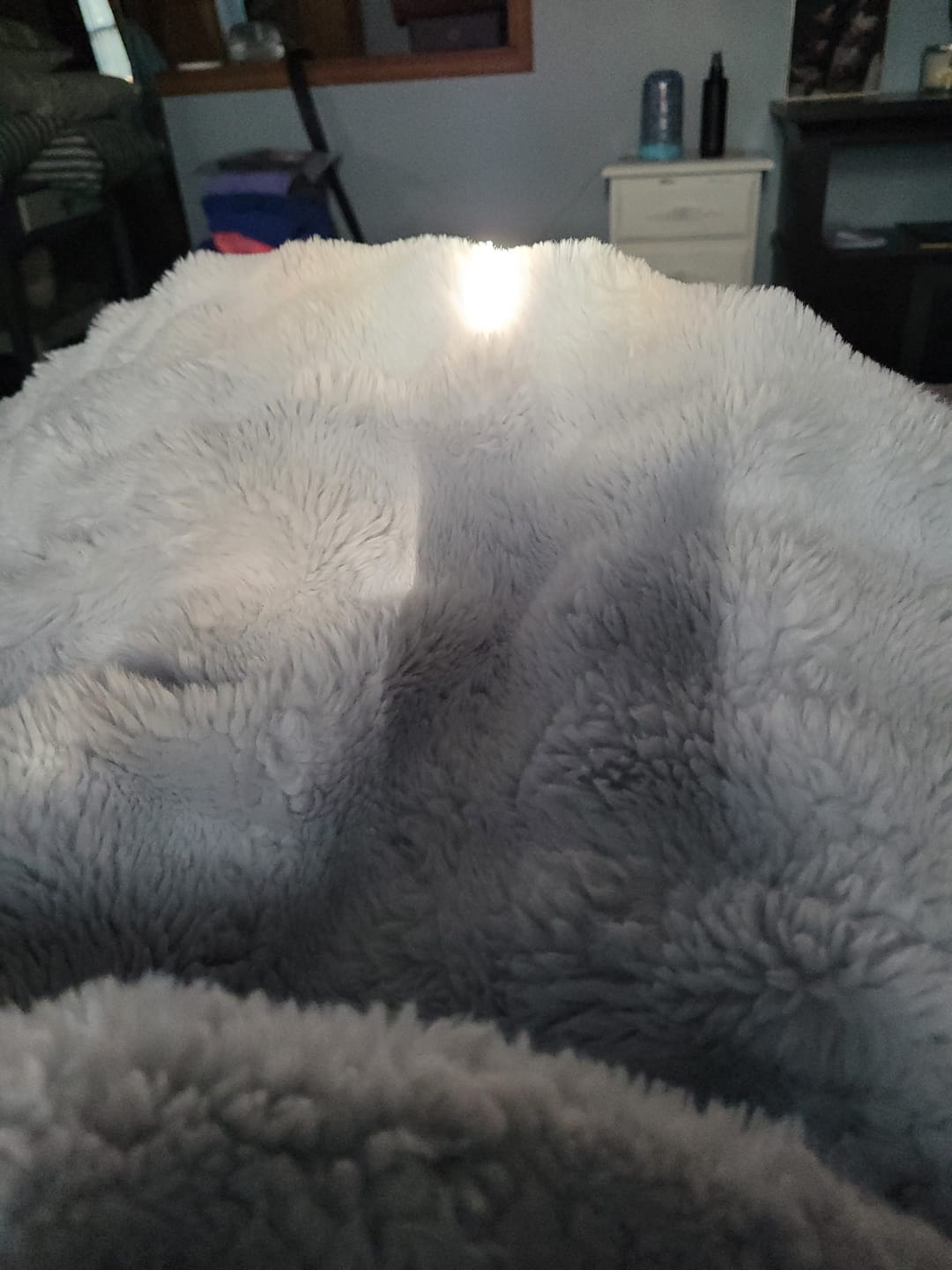 Customer photo review of Cloud Throw Blanket