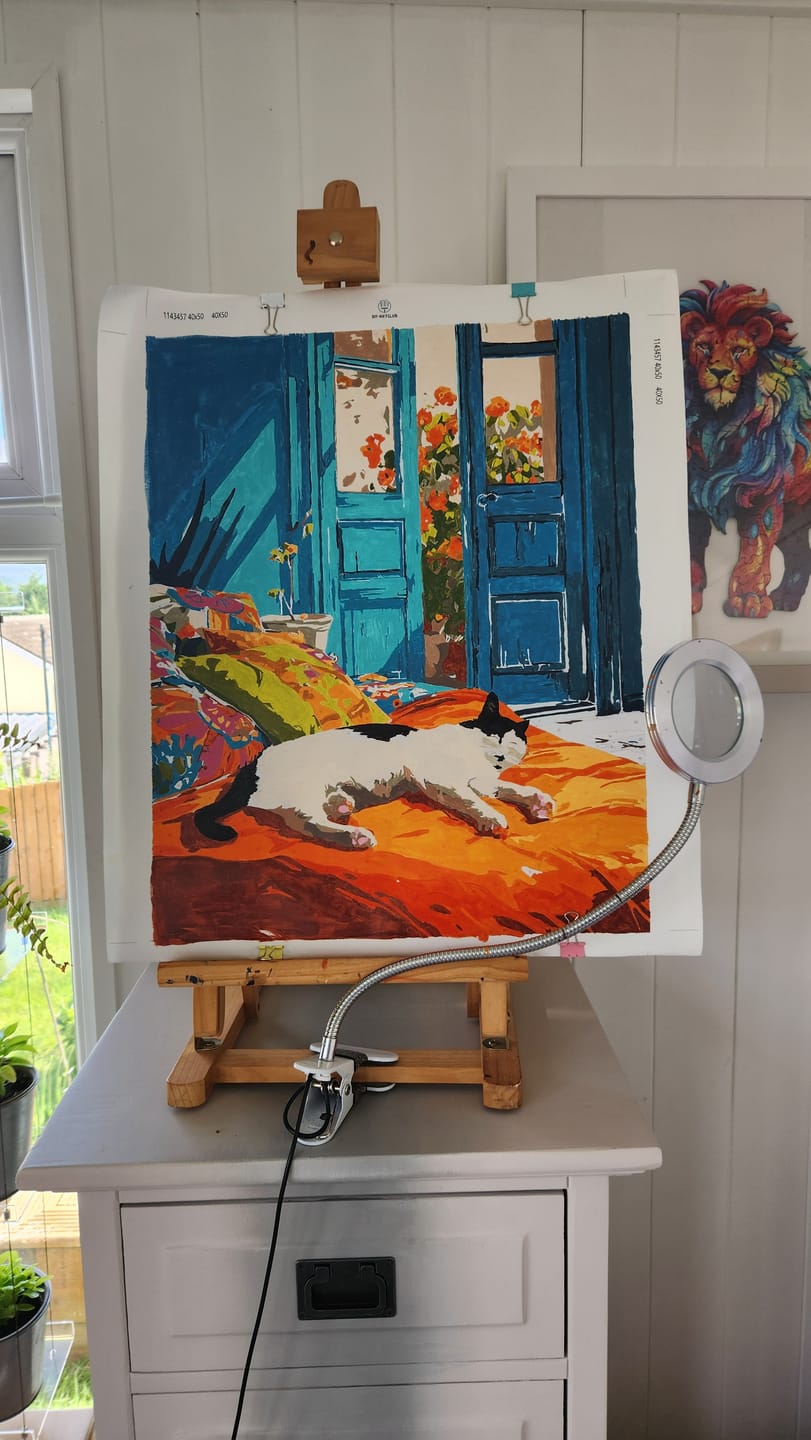 Customer photo review of A daytime nap | Paint by Number