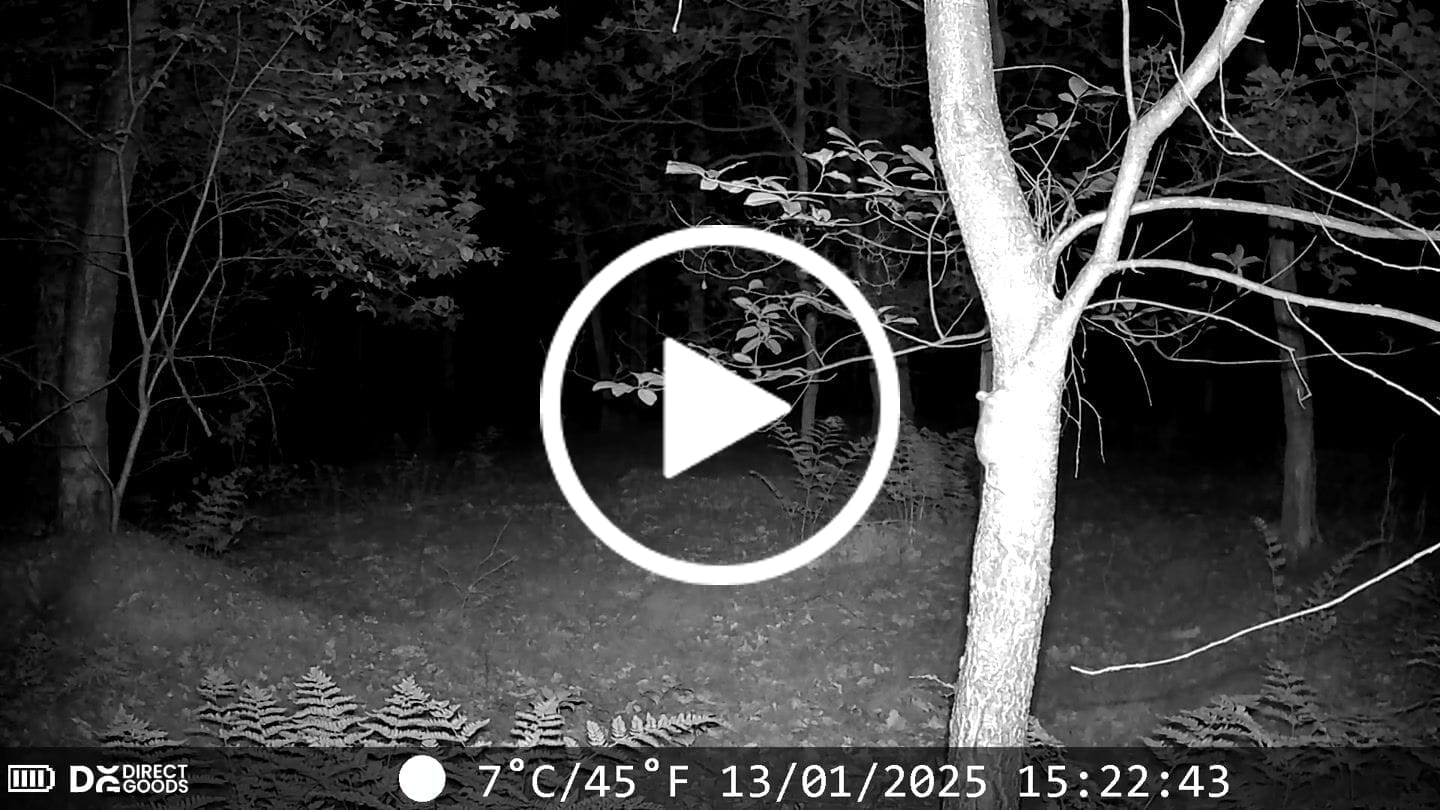 Customer video review of Siltcon® Wildcamera Nachtzicht en wifi 4K