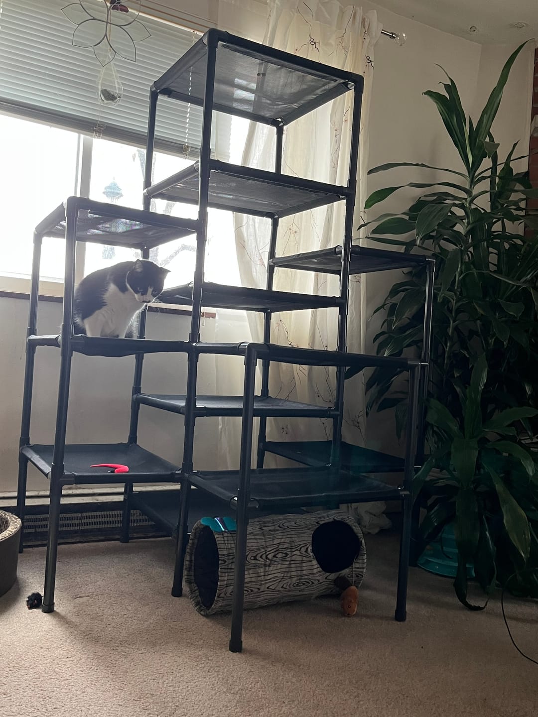 Customer photo review of Durable Cat Tower | Peak