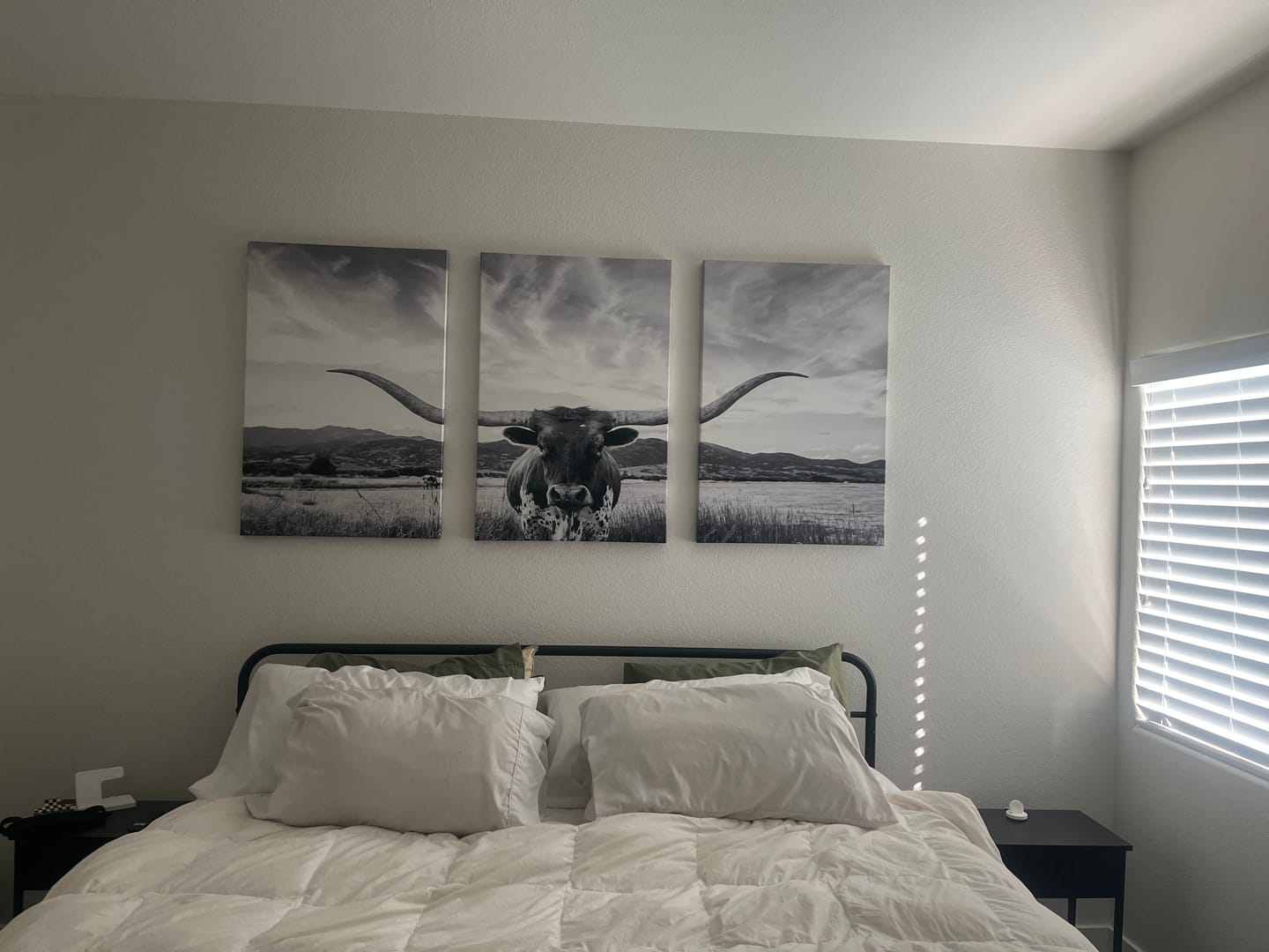 Customer photo review of Longhorn Black and White Wall Art – Rustic Western Bull