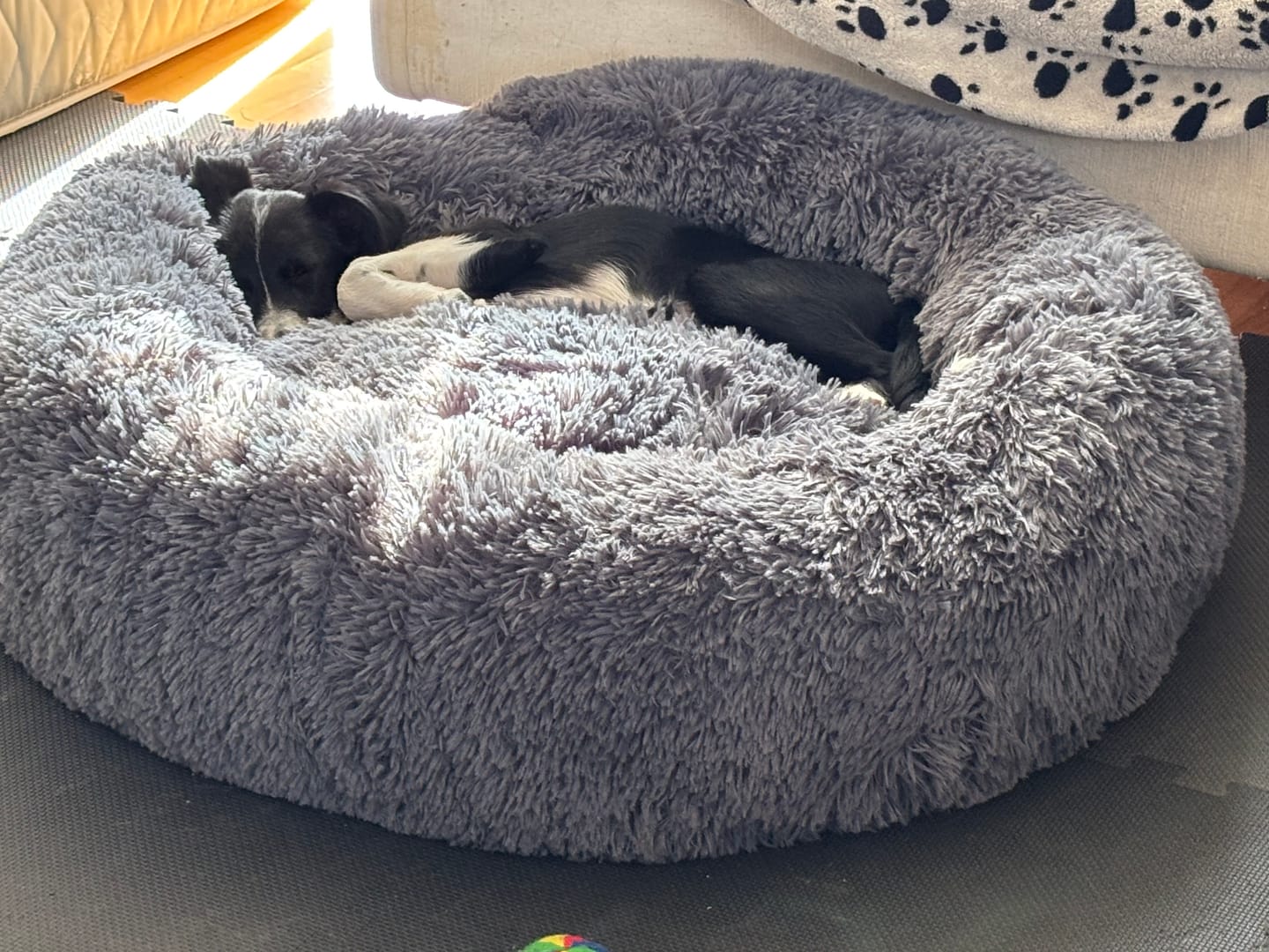 Customer photo review of CalmBed - Motvirker stress & hjelper mot angst