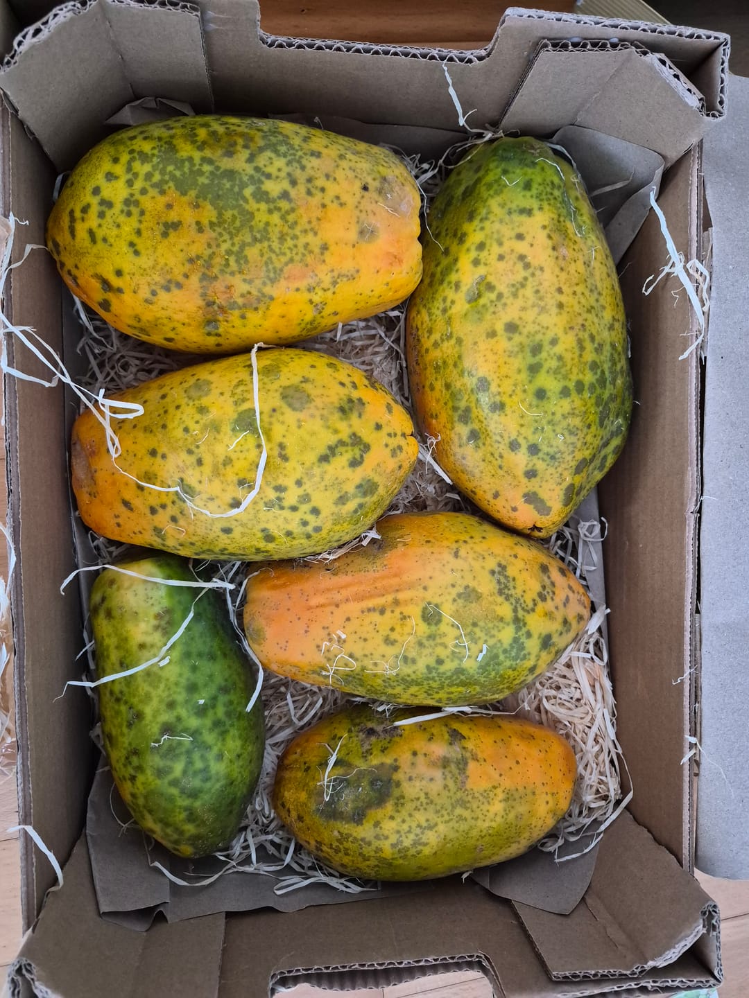 Customer photo review of Papaya Bio von Julian 4kg Box Sonderaktion %