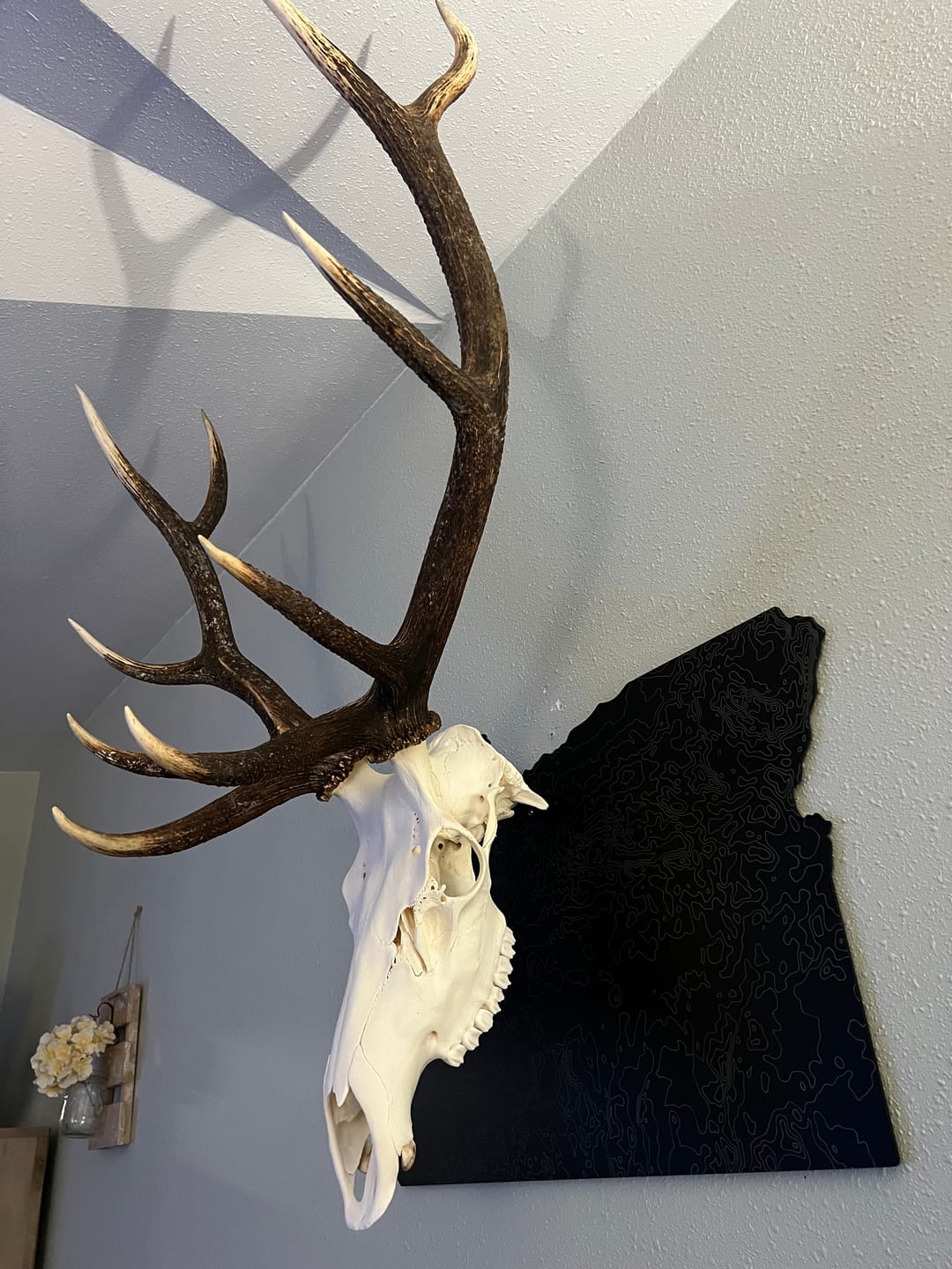 Customer photo review of Large Game Plaque Selections