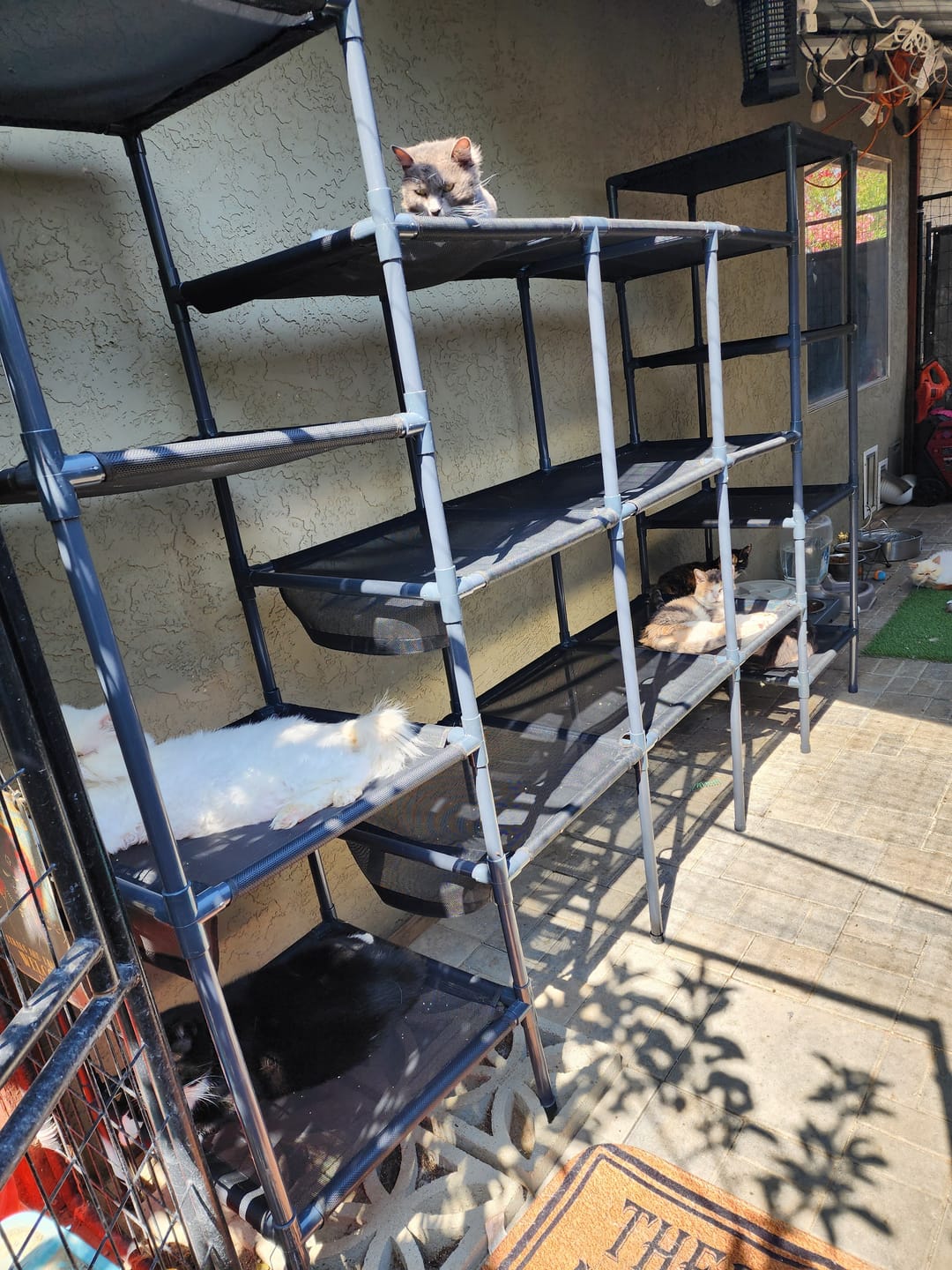 Customer photo review of Durable Cat Tower - Haven