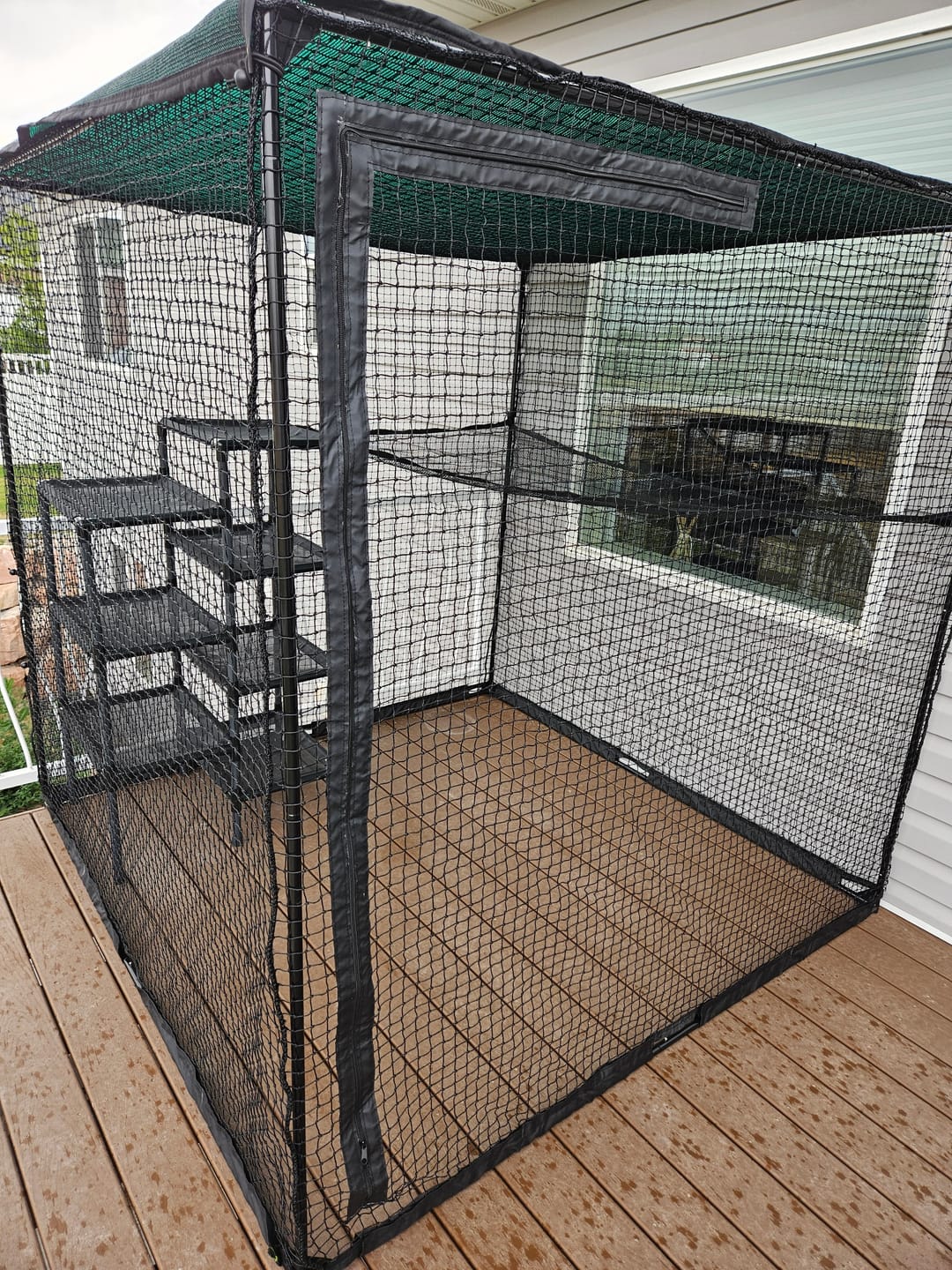 Customer photo review of Cat Enclosure | Large