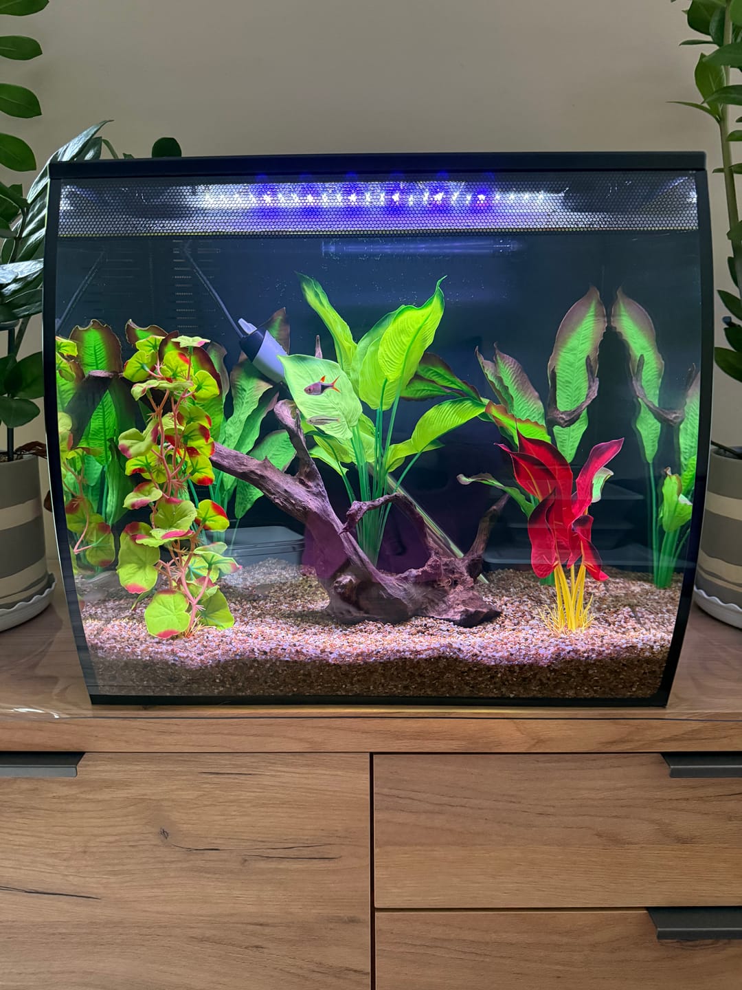 Customer photo review of Fluval Flex 2.0 Aquarium Kit Black
