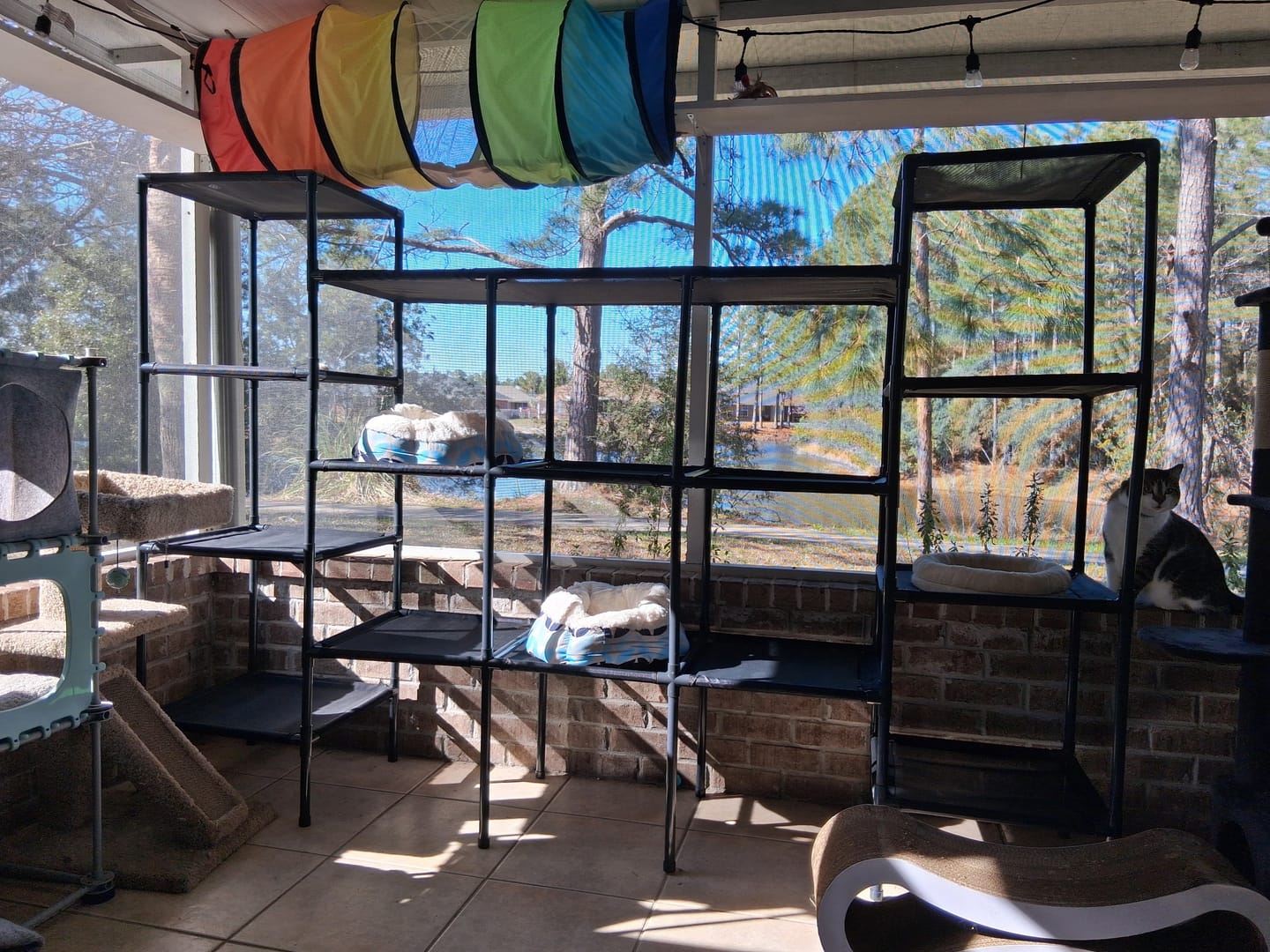 Customer photo review of Durable Cat Tower - Haven