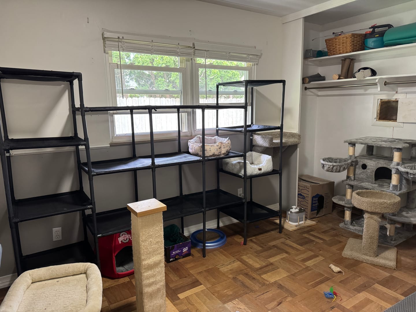 Customer photo review of Durable Cat Tower - Vista