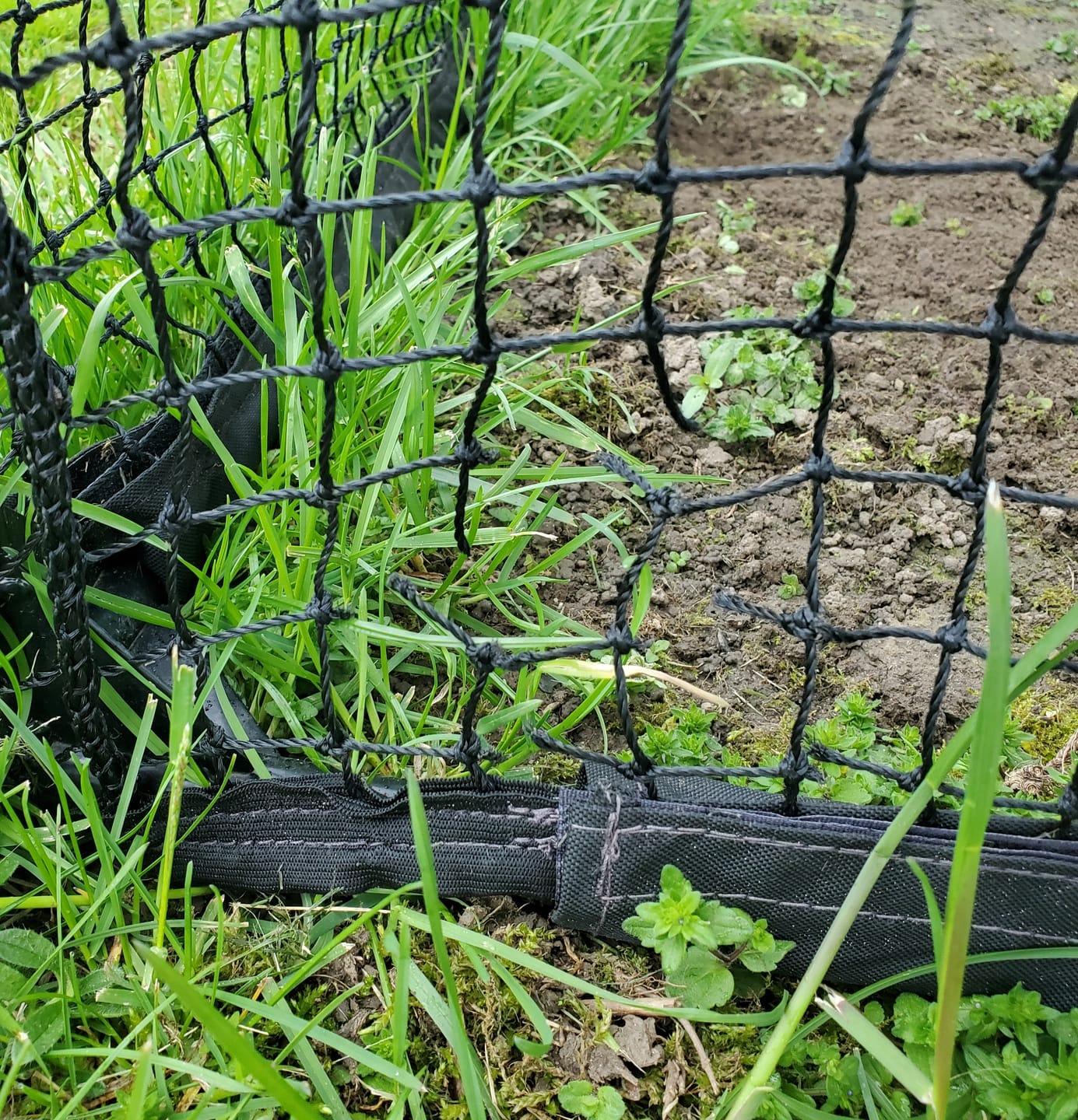 Customer photo review of Cat Enclosure | Large