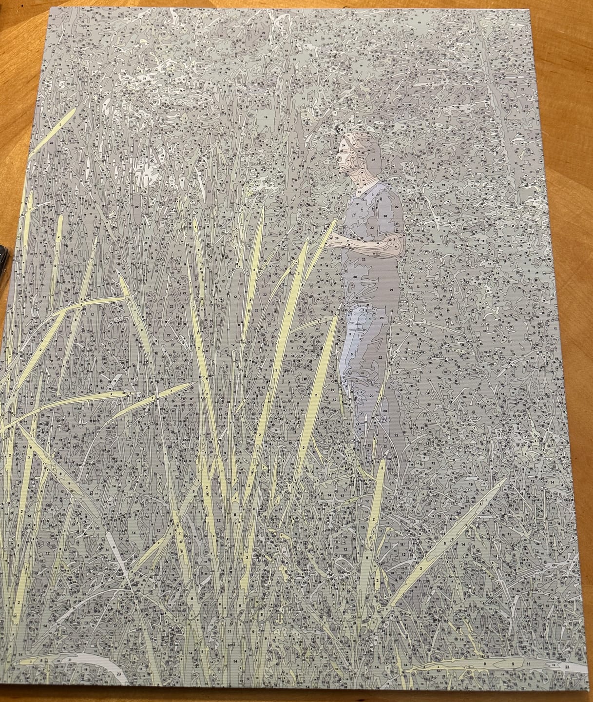 Customer photo review of Custom Paint by Numbers Kit