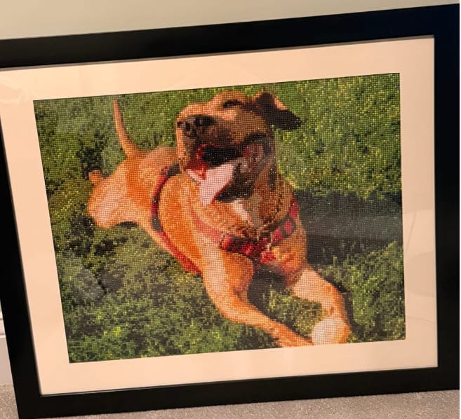 Customer photo review of Custom Diamond Painting Kits