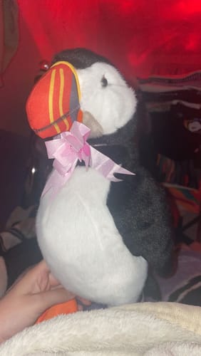 Customer photo review of Atlantic Puffin Plush Toy – Lifelike, Soft & Perfect for Bird Lovers