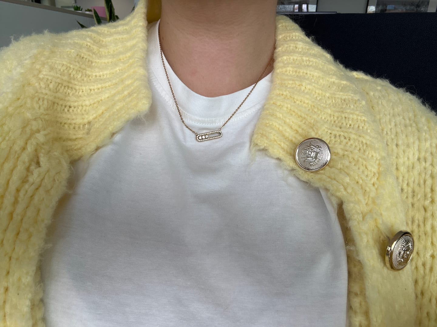 Customer photo review of Pave Soul Kette 18K Vergoldet