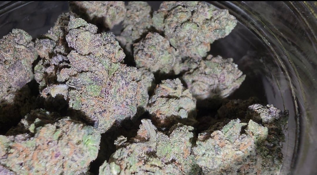 Customer photo review of Pink Runtz Exotic THCA