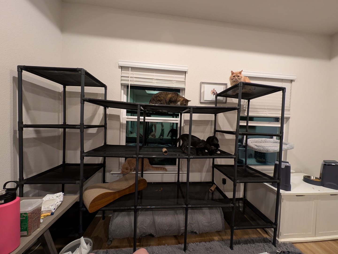 Customer photo review of Durable Cat Tower - Vista