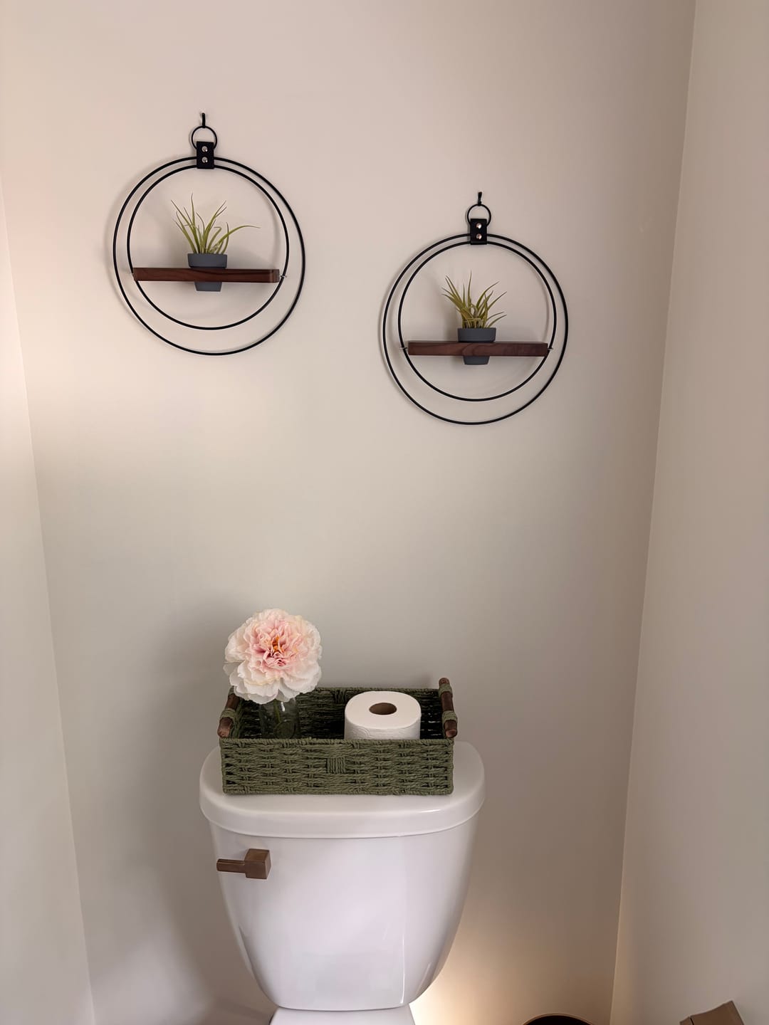 Customer photo review of Air Plant Shelf + Pot Duo
