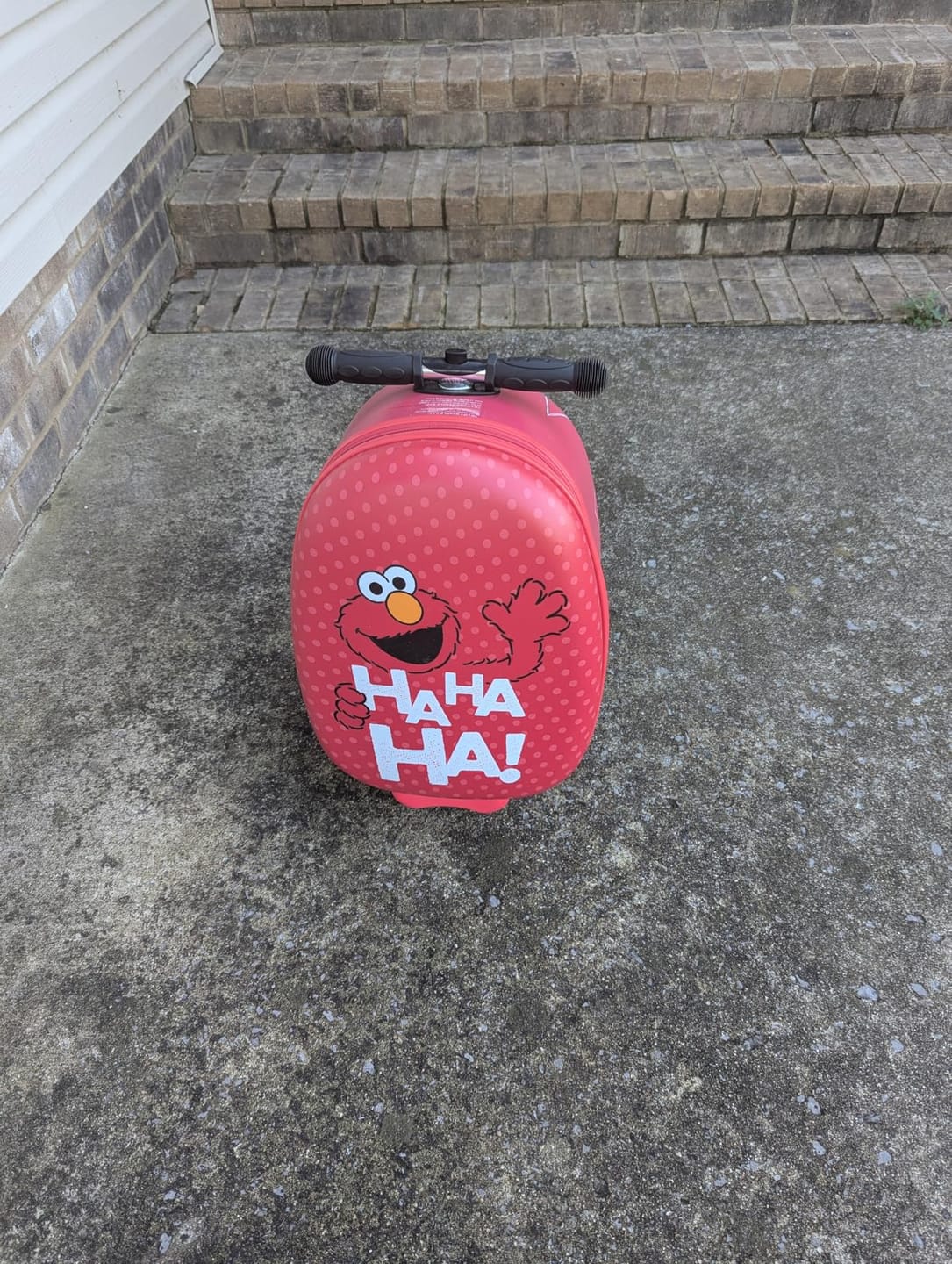 Customer photo review of Elmo Detachable Scooter Luggage
