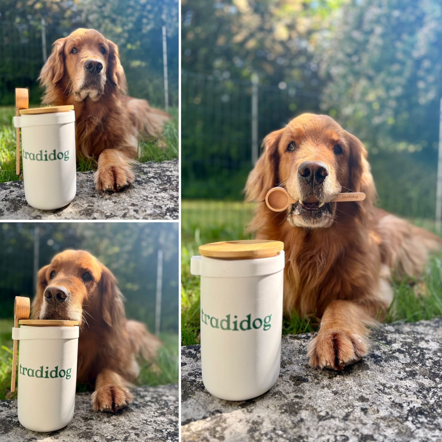 Customer photo review of SENSITIVE