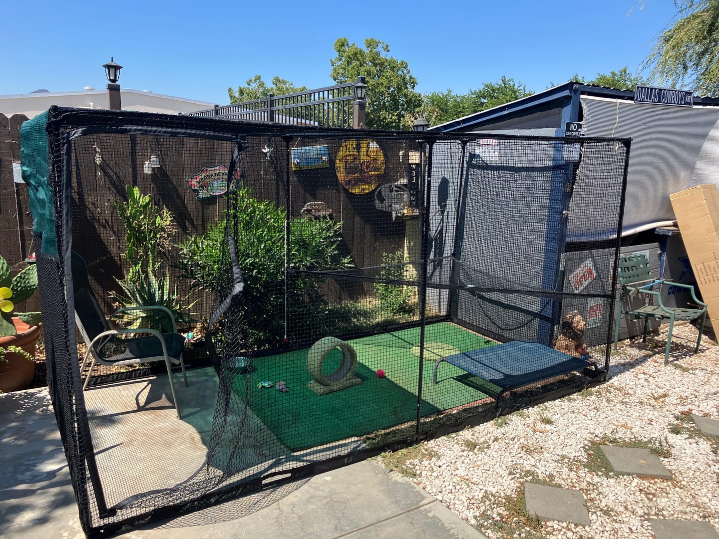 Customer photo review of Cat Enclosure | Large