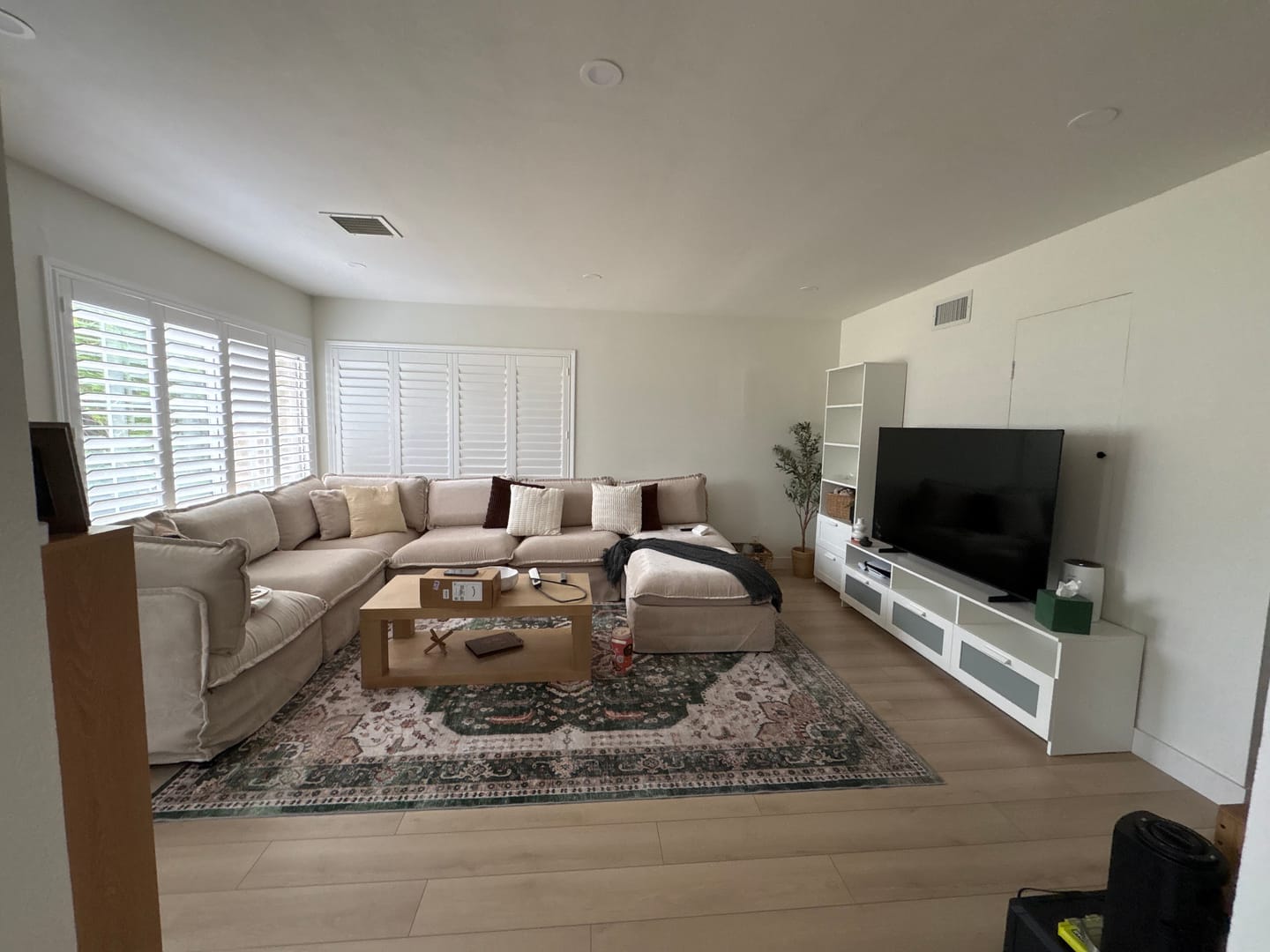 Customer photo review of Harmonia Washable Area Rug - Green