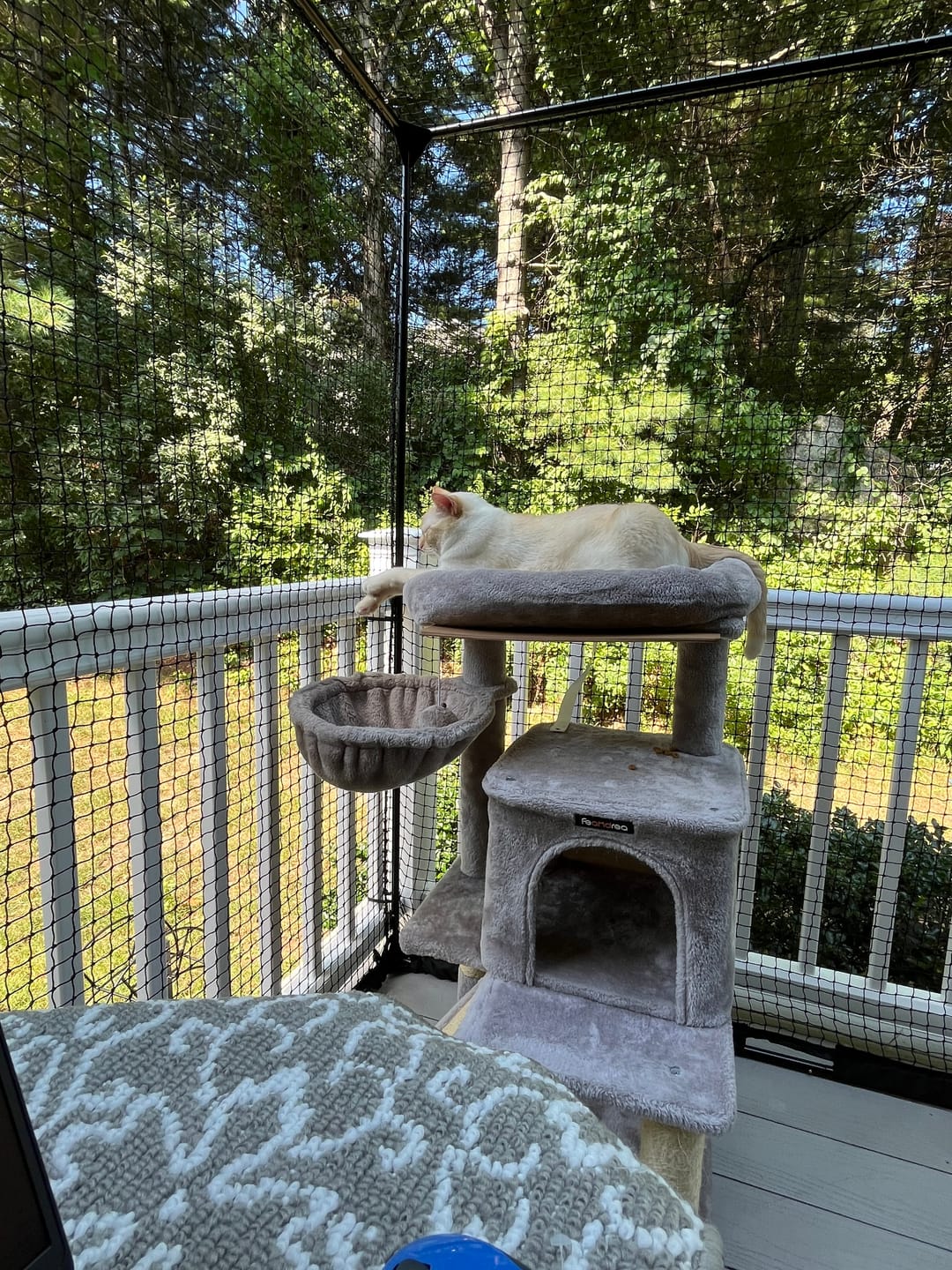 Customer photo review of Cat Enclosure | Large