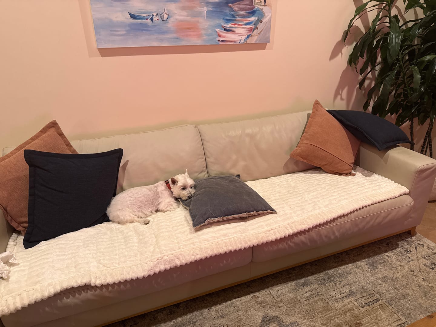 Customer photo review of CouchCloud - Couch Covers