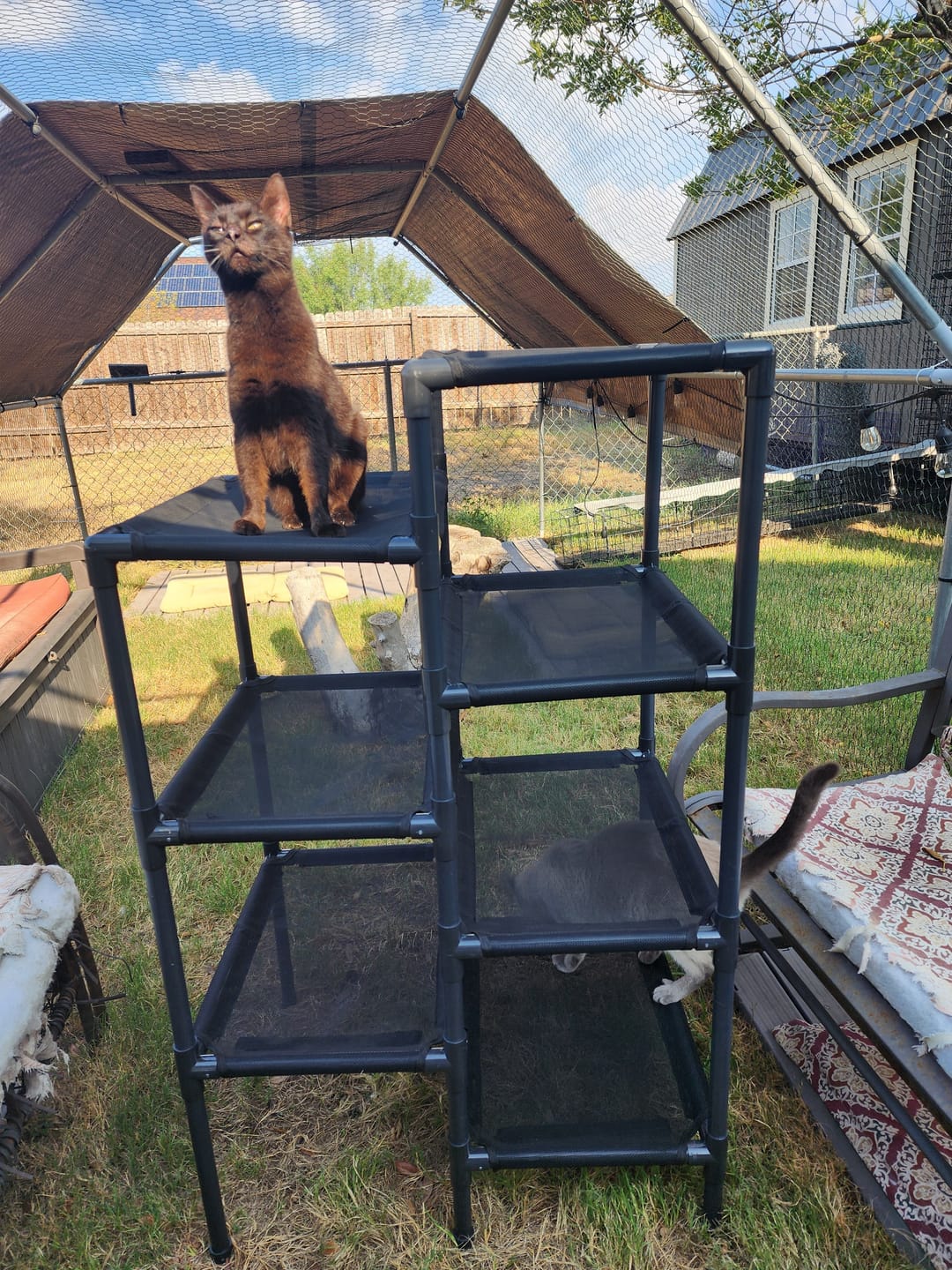 Customer photo review of Durable Cat Tower - Haven