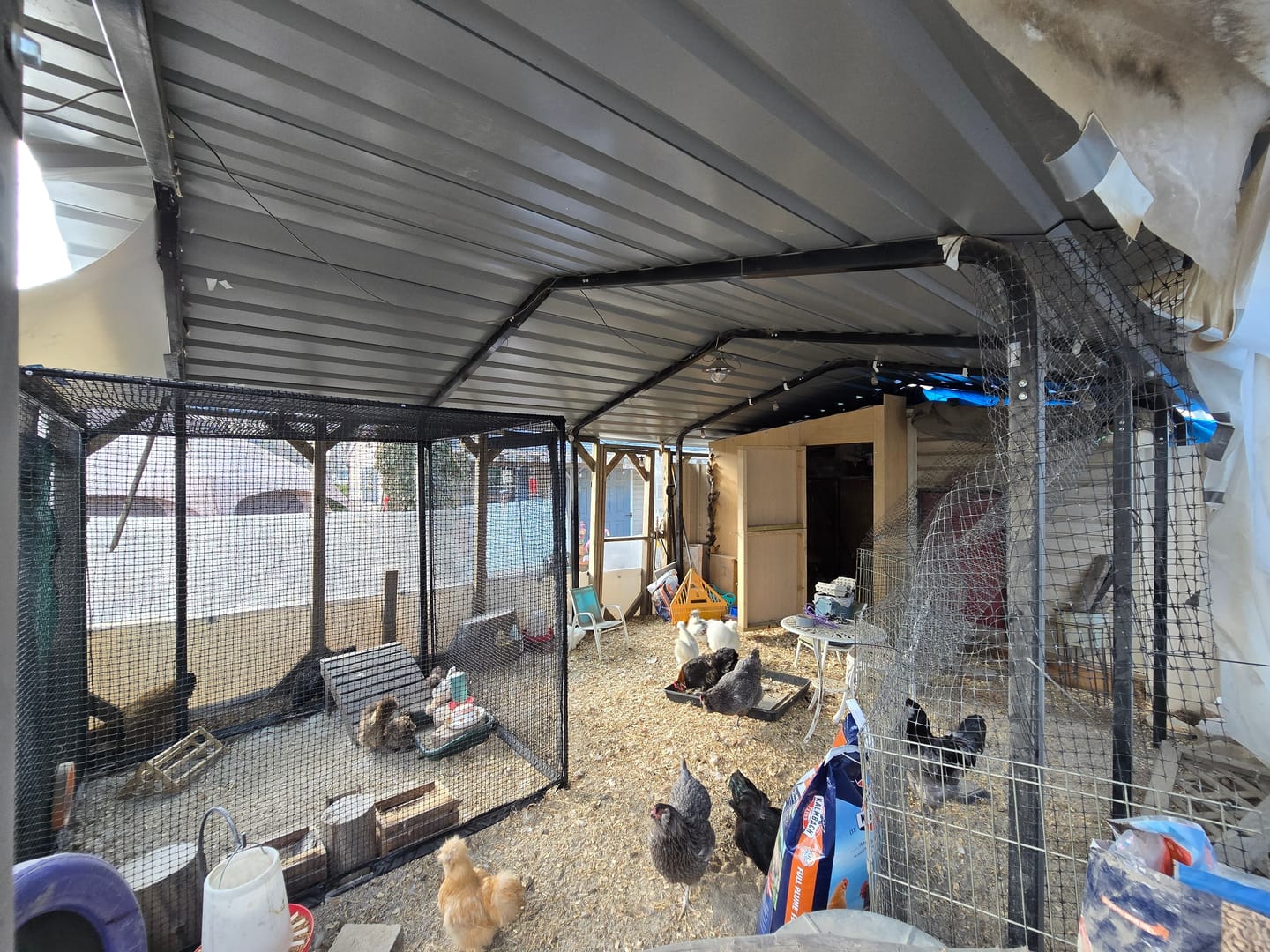 Customer photo review of Cat Enclosure | XL