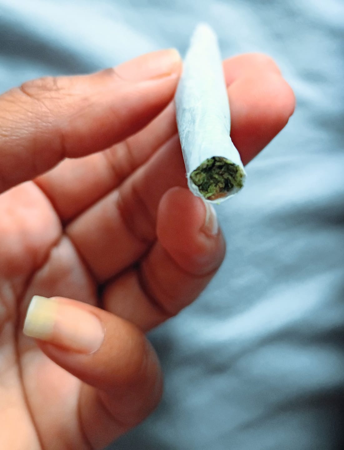 Customer photo review of Blue Dream - 14 Grams - Sativa
