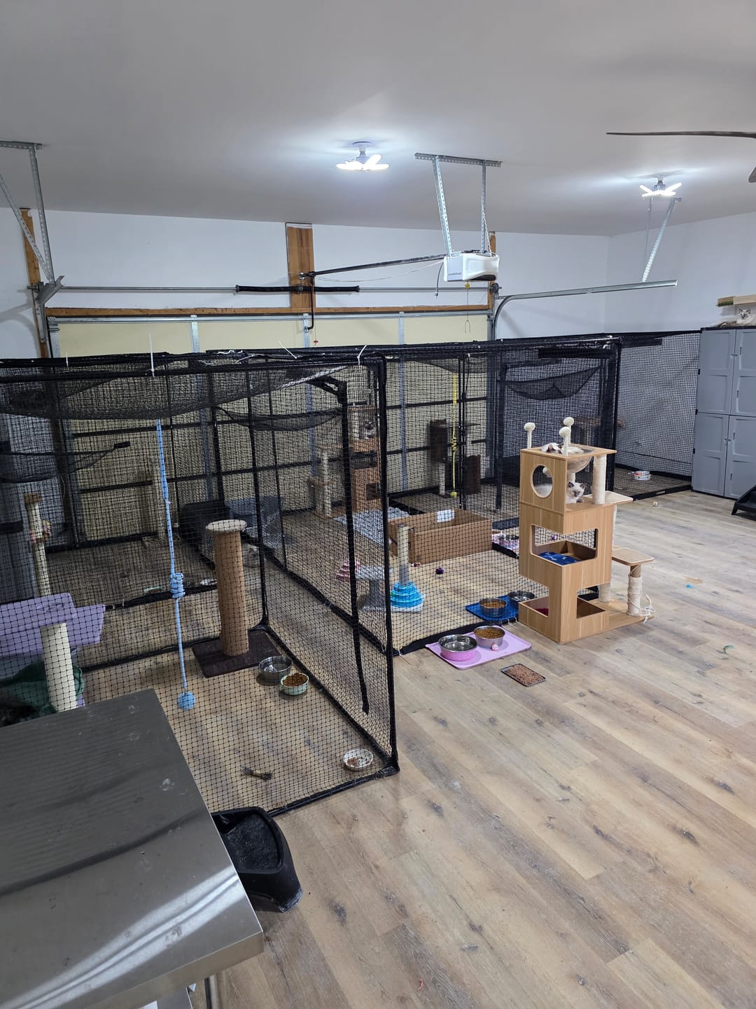 Customer photo review of Cat Enclosure | Large