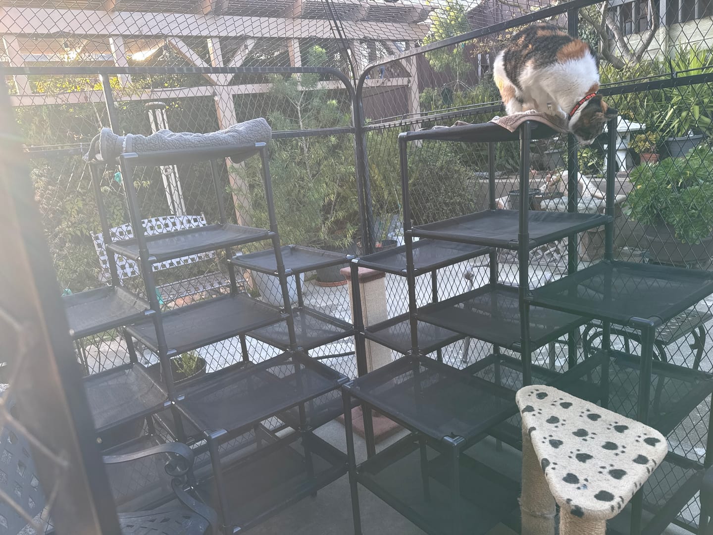 Customer photo review of Durable Cat Tower | Peak