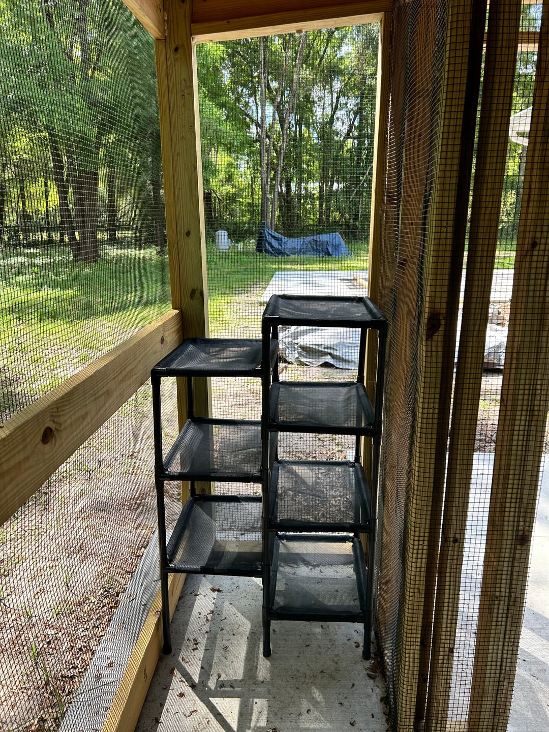 Customer photo review of Durable Cat Tower - Haven