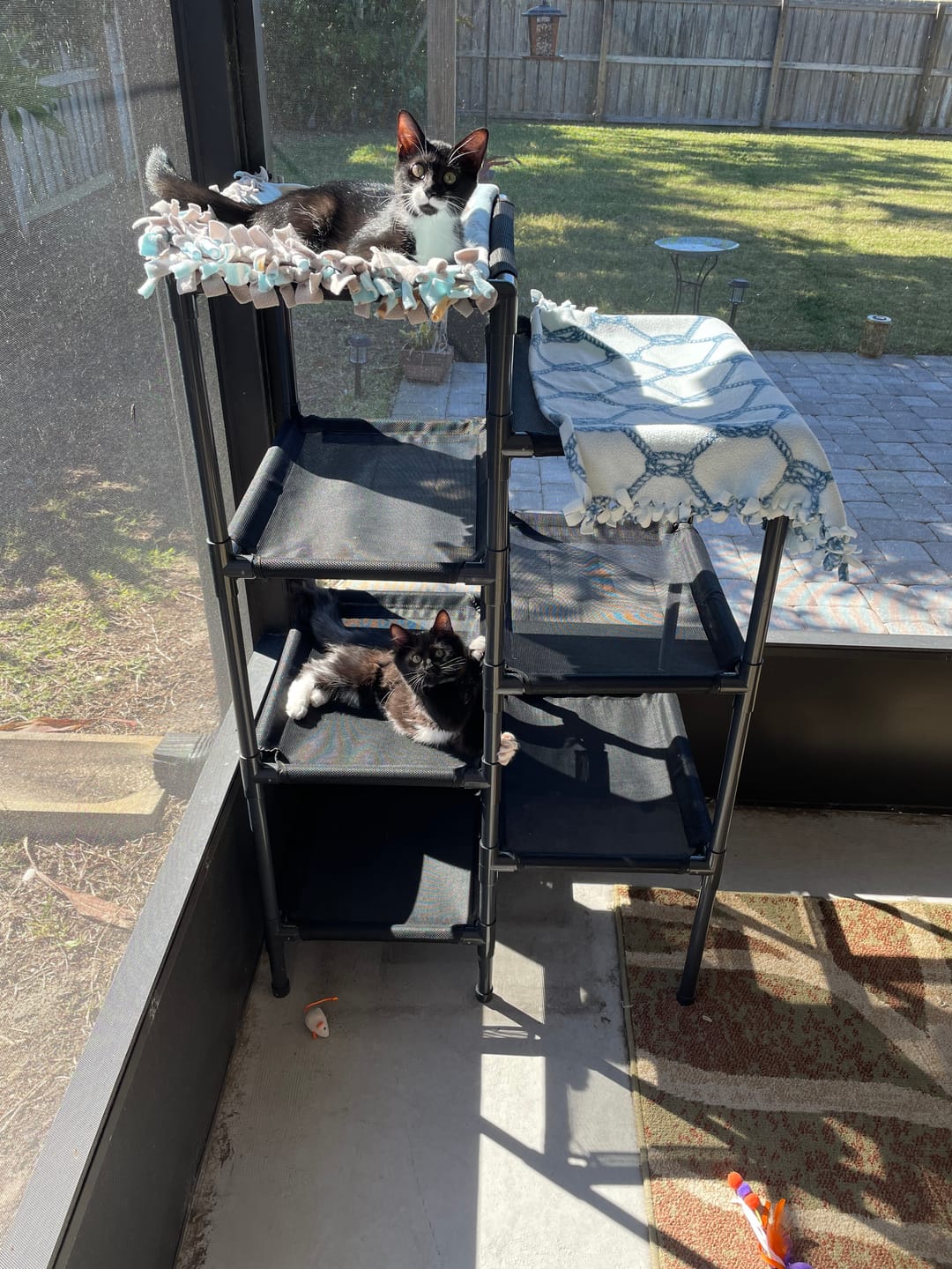 Customer photo review of Durable Cat Tower - Haven