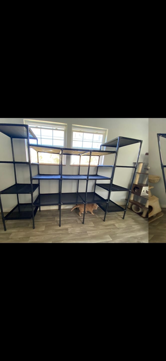 Customer photo review of Durable Cat Tower - Vista
