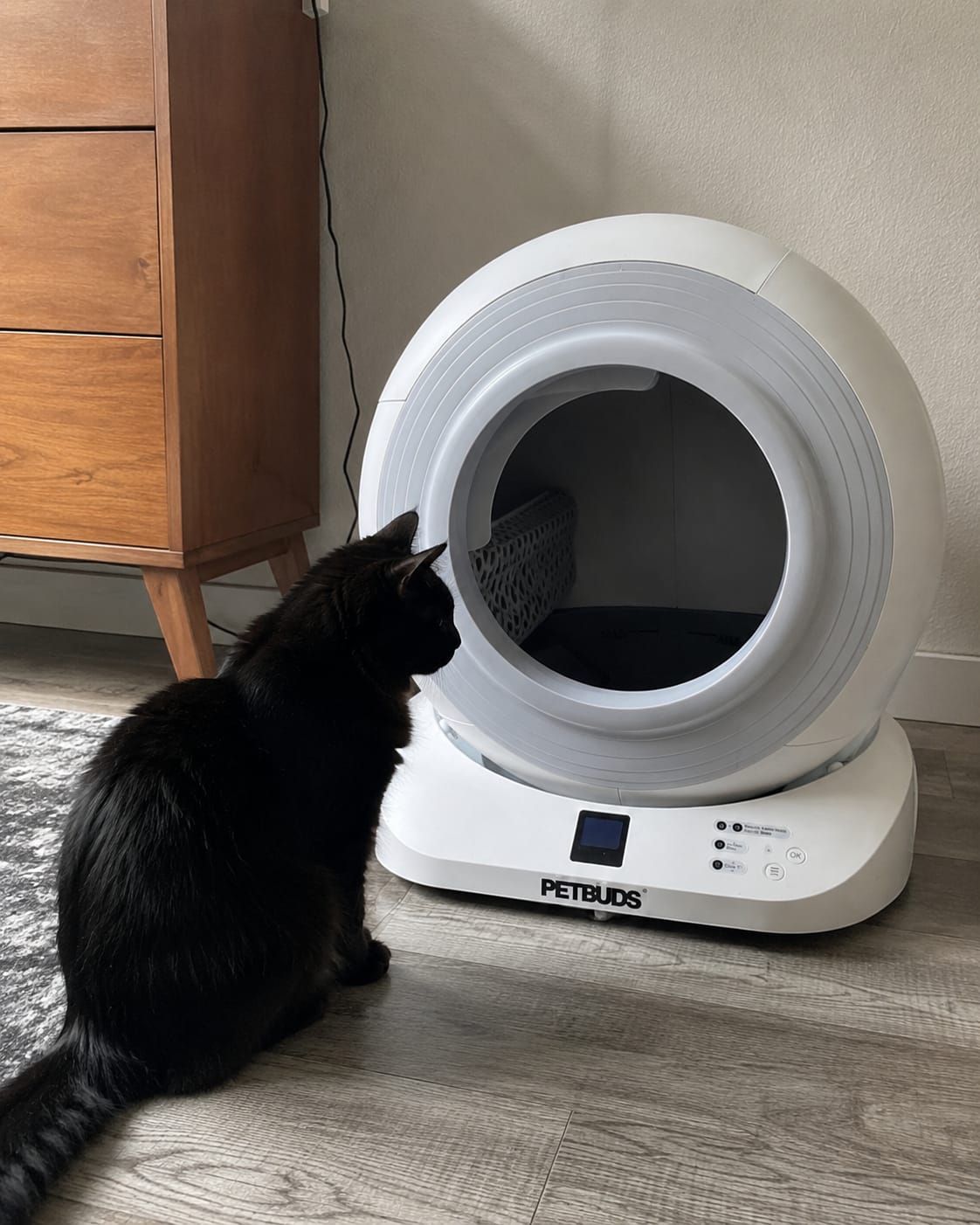 Customer photo review of The Petbuds Q-CLEAN Automatic Self-Cleaning Litter Box