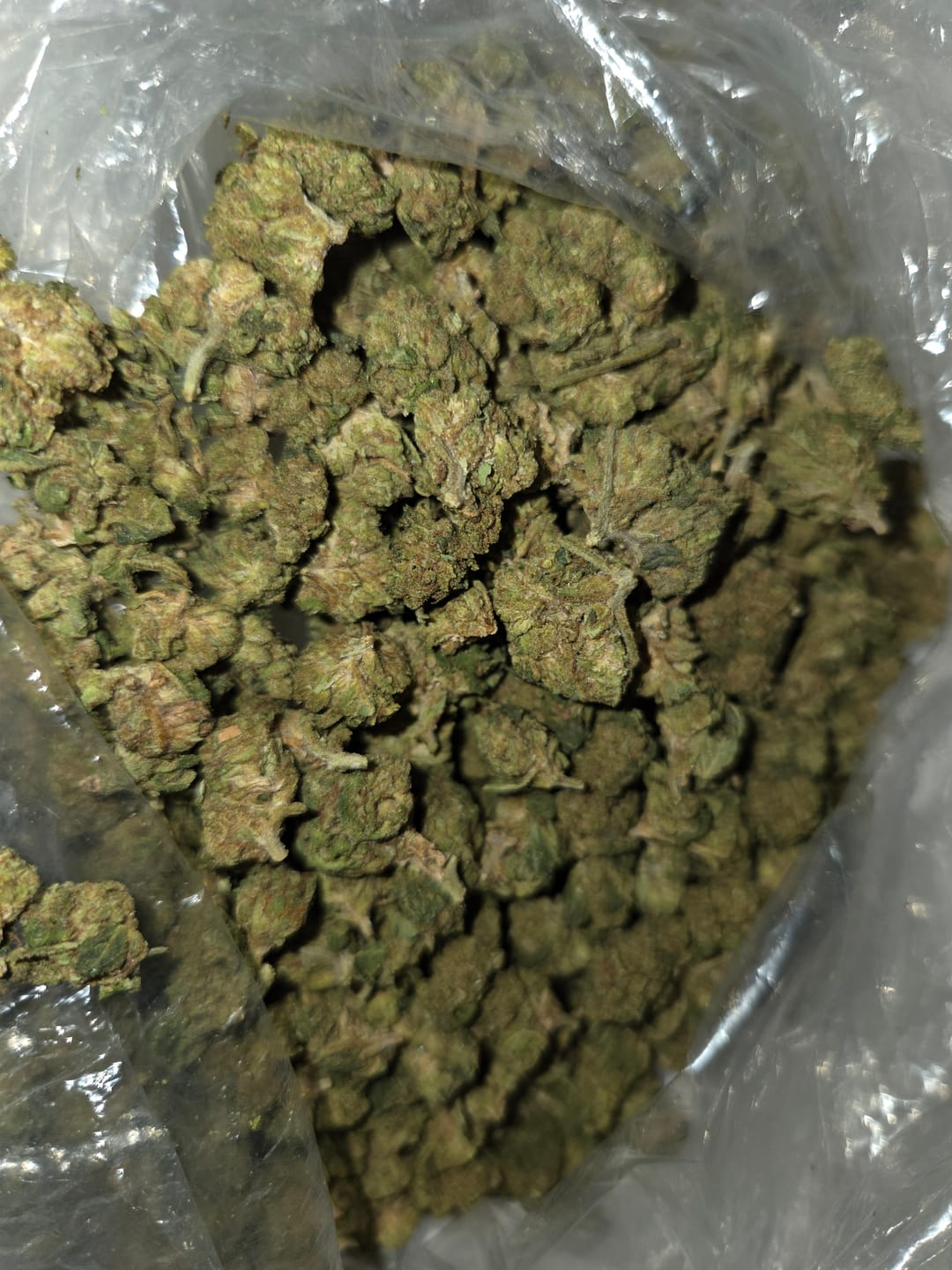 Customer photo review of Wedding Cake Minis - Bulk Minis - Indica